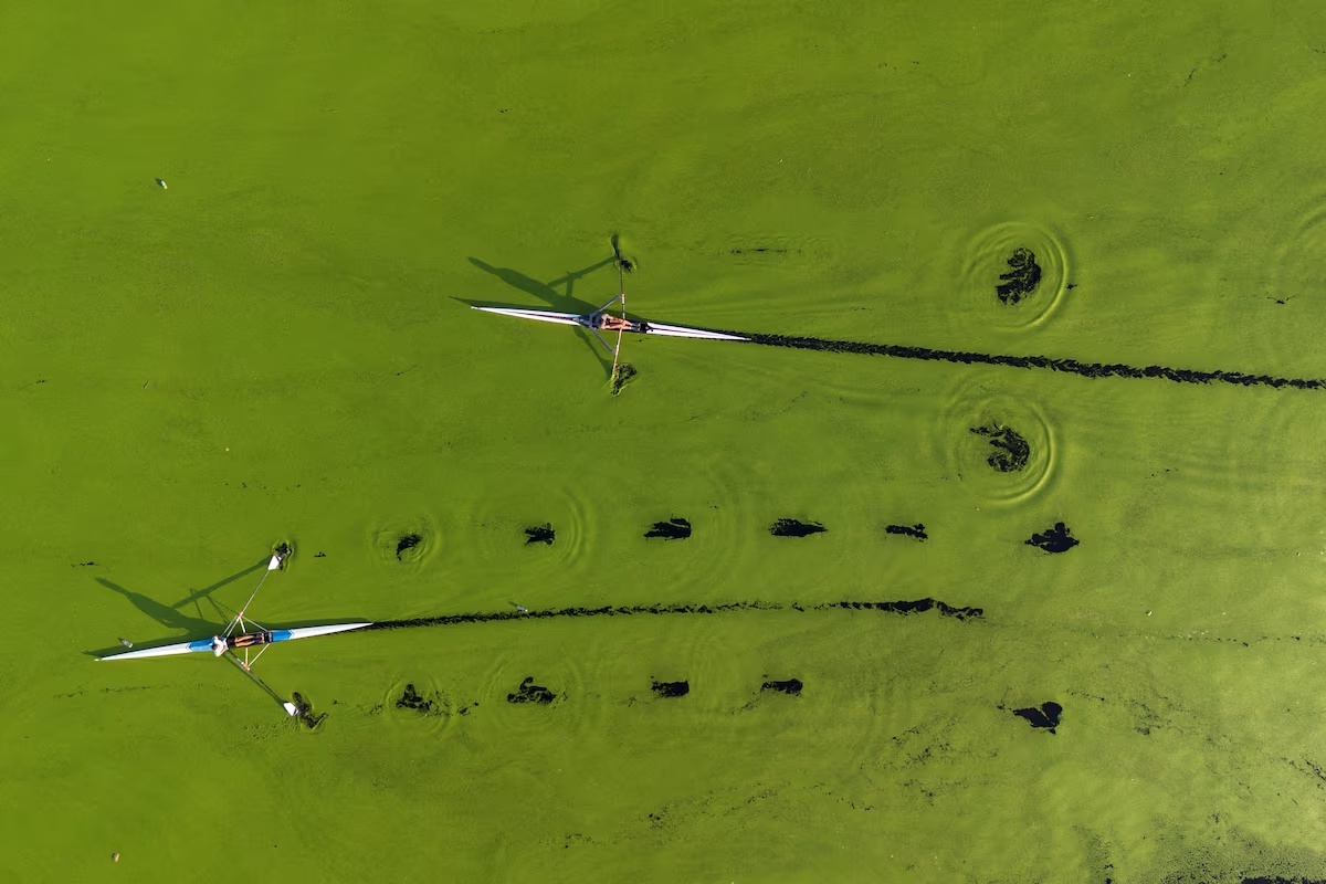 Anh tren khong anh 4