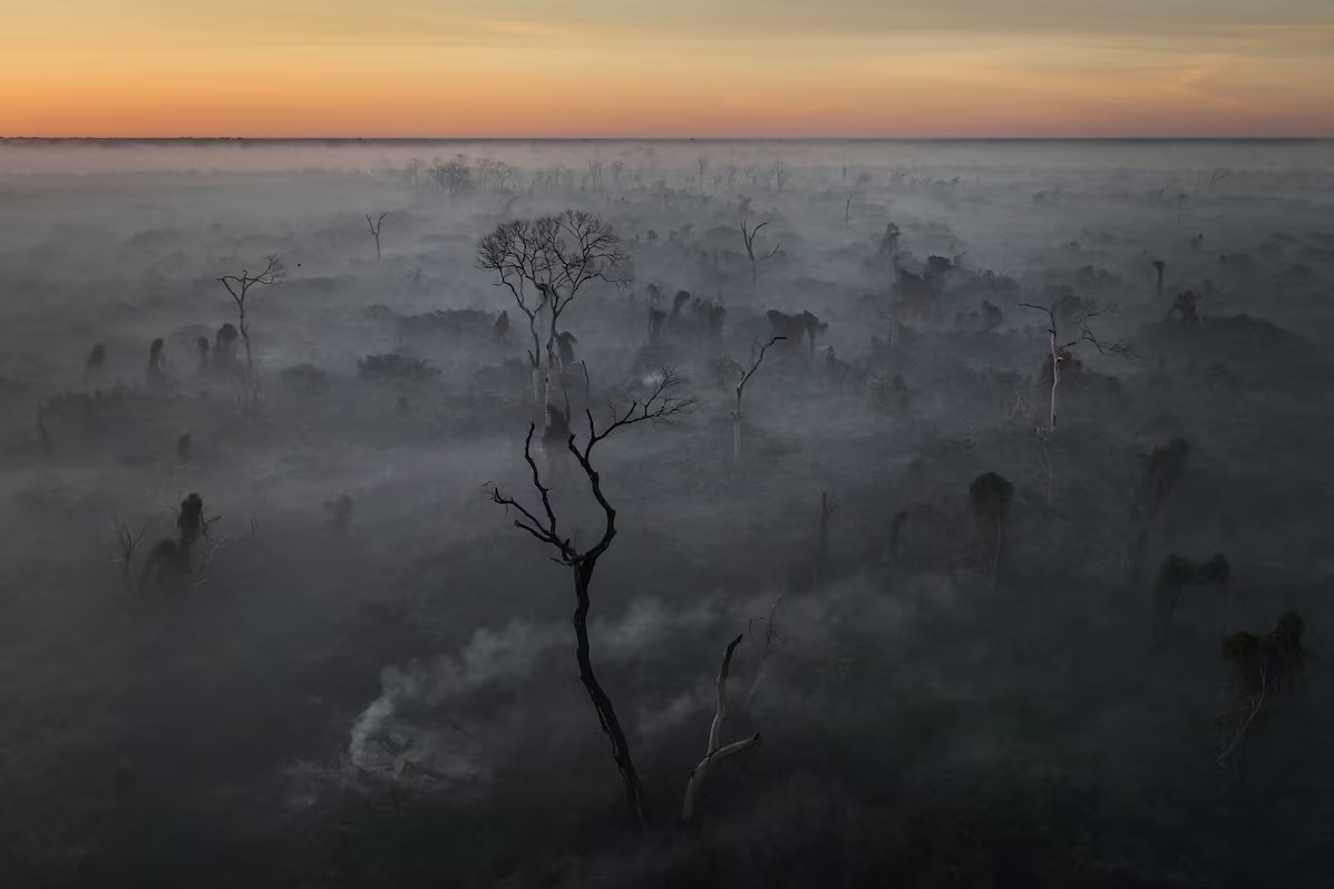 Anh tren khong anh 7