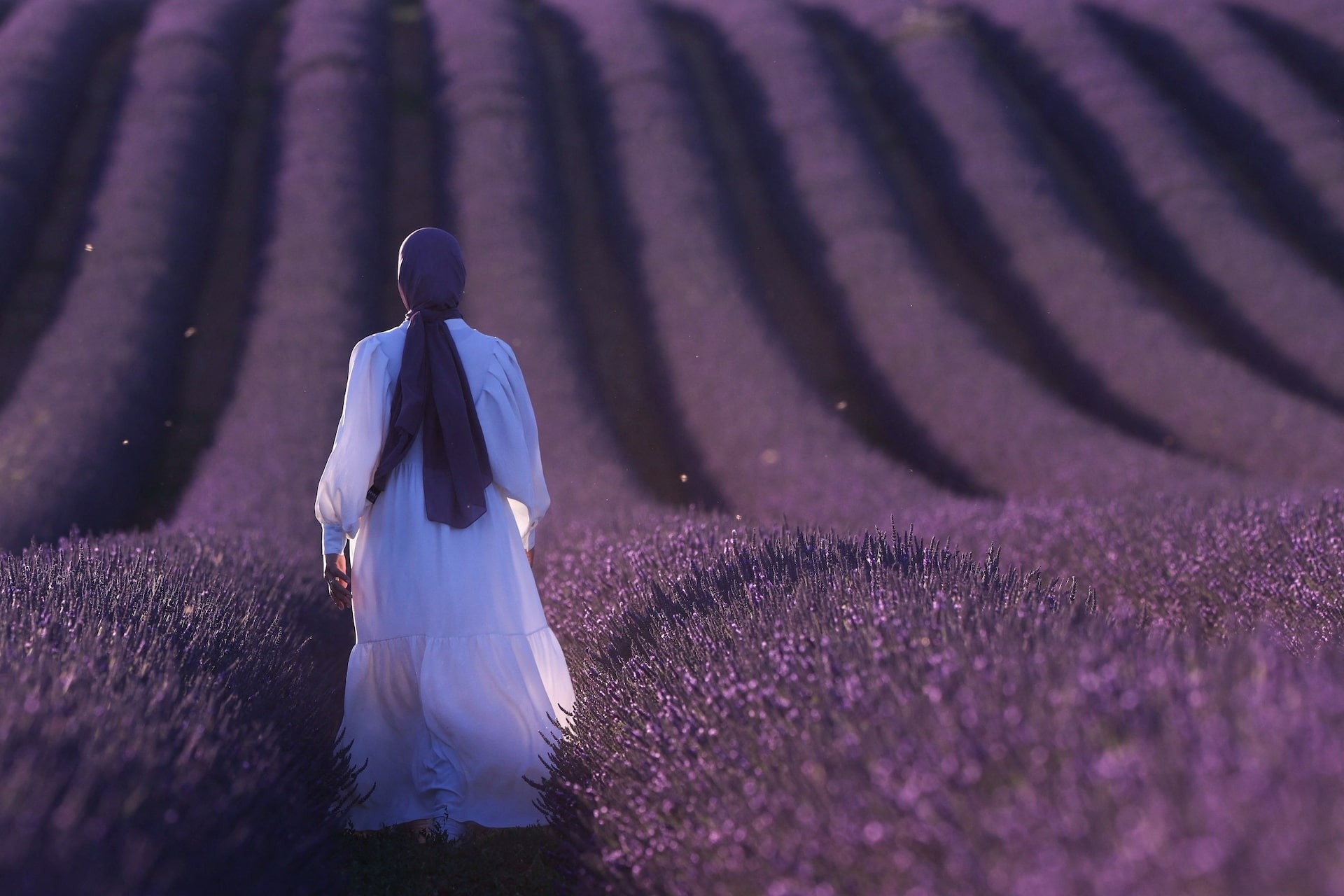 Anh phong canh dep nhat anh 18