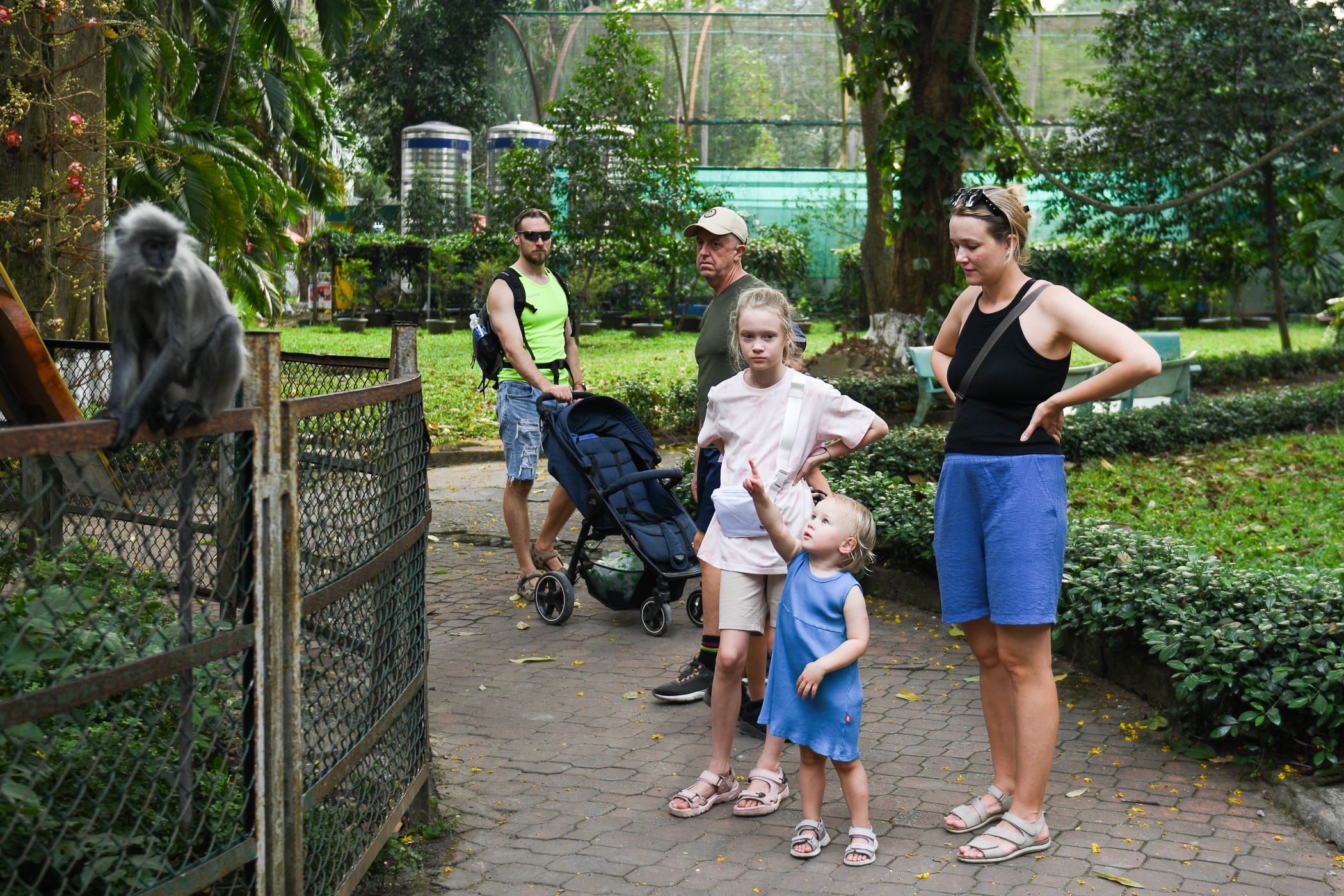 Thảo Cầm Viên ảnh 4 Thao Cam Vien anh 4