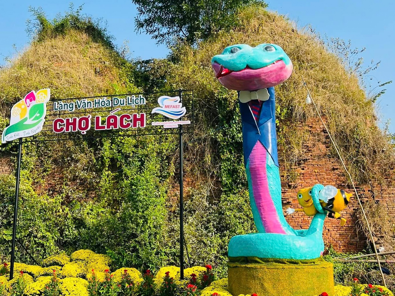 Xon xao linh vat ran mac vest o Ben Tre hinh anh