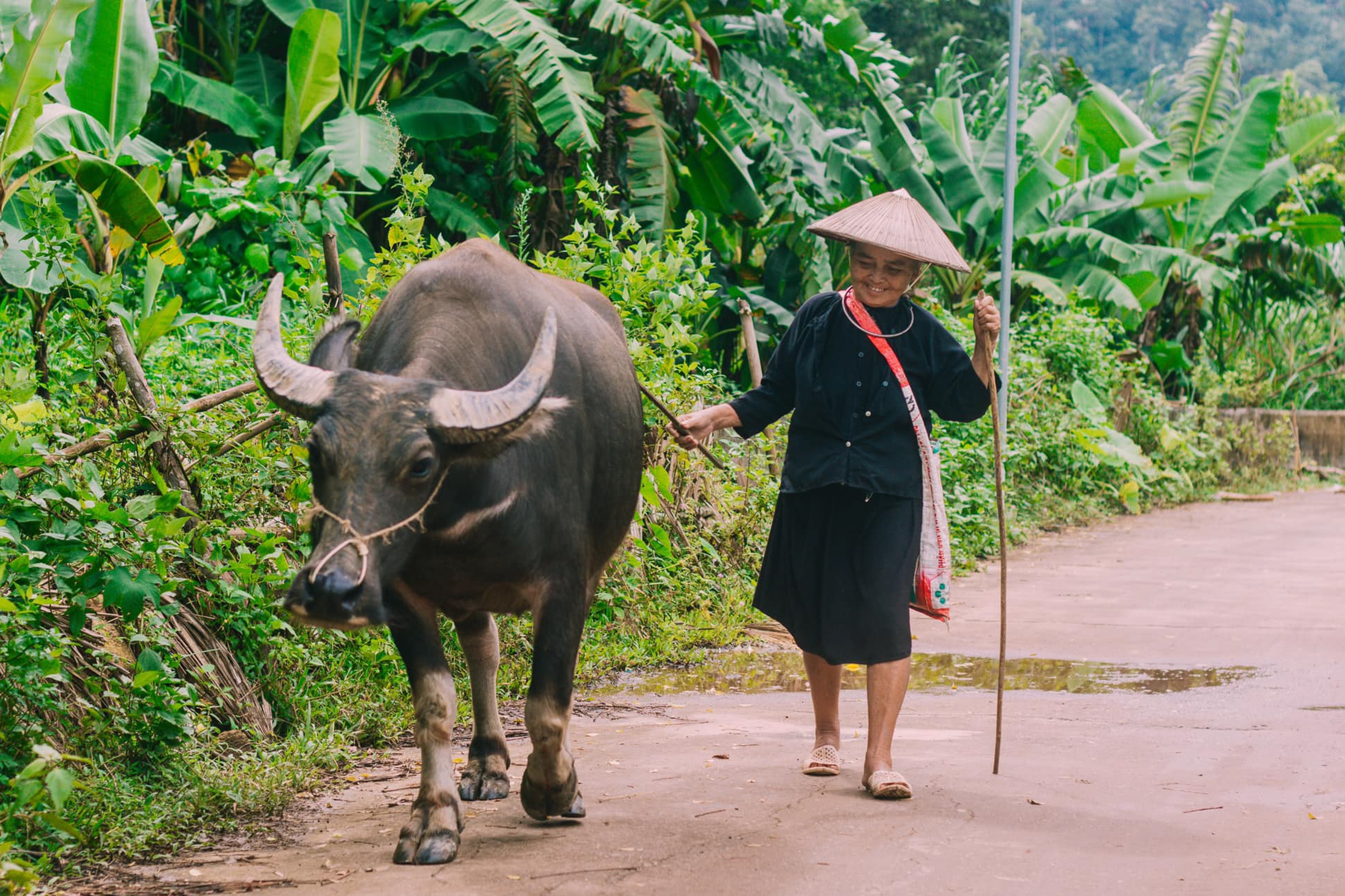 Dien dan du lich ASEAN anh 2