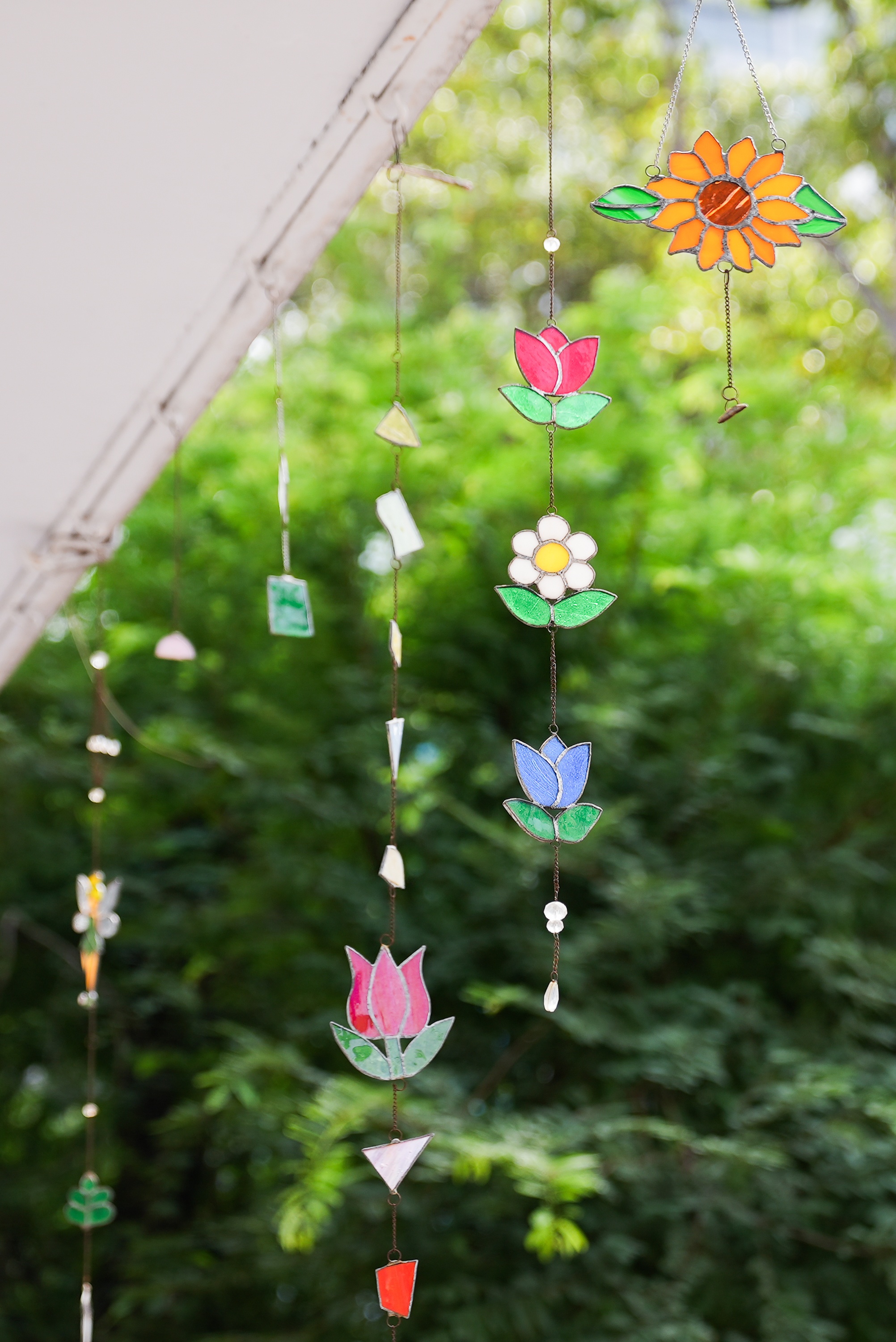 Khách Tây chơi Tết ảnh 16 Khach Tay choi Tet anh 16