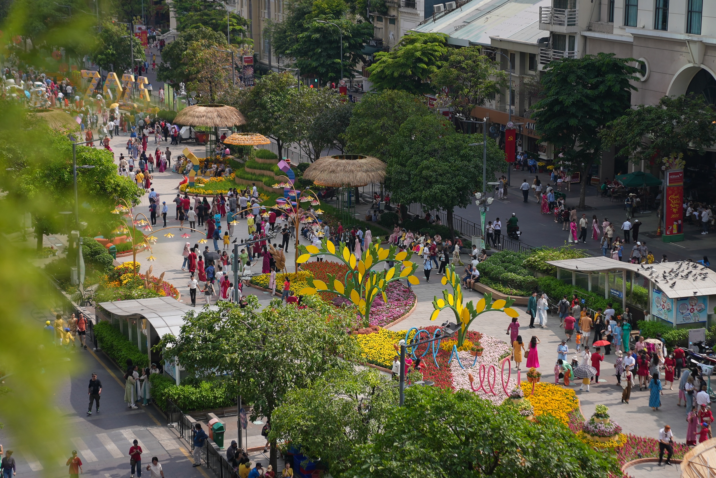 Duong hoa Nguyen Hue anh 1