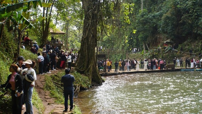 Mang Den dip Tet anh 4