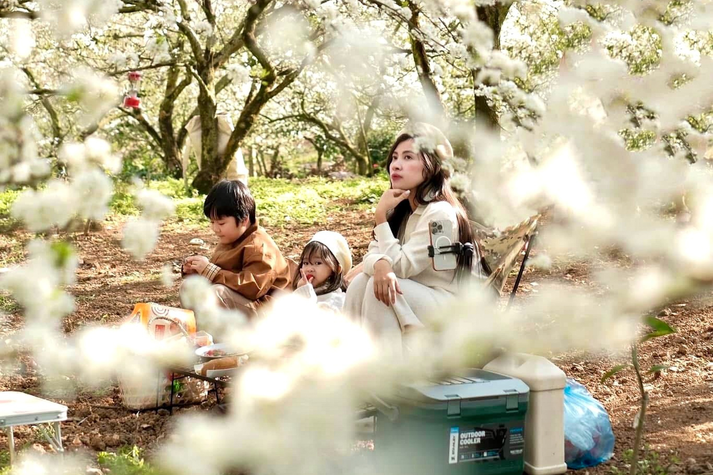 Hoa man bung no trang tren cao nguyen Moc Chau ngay dau Xuan hinh anh