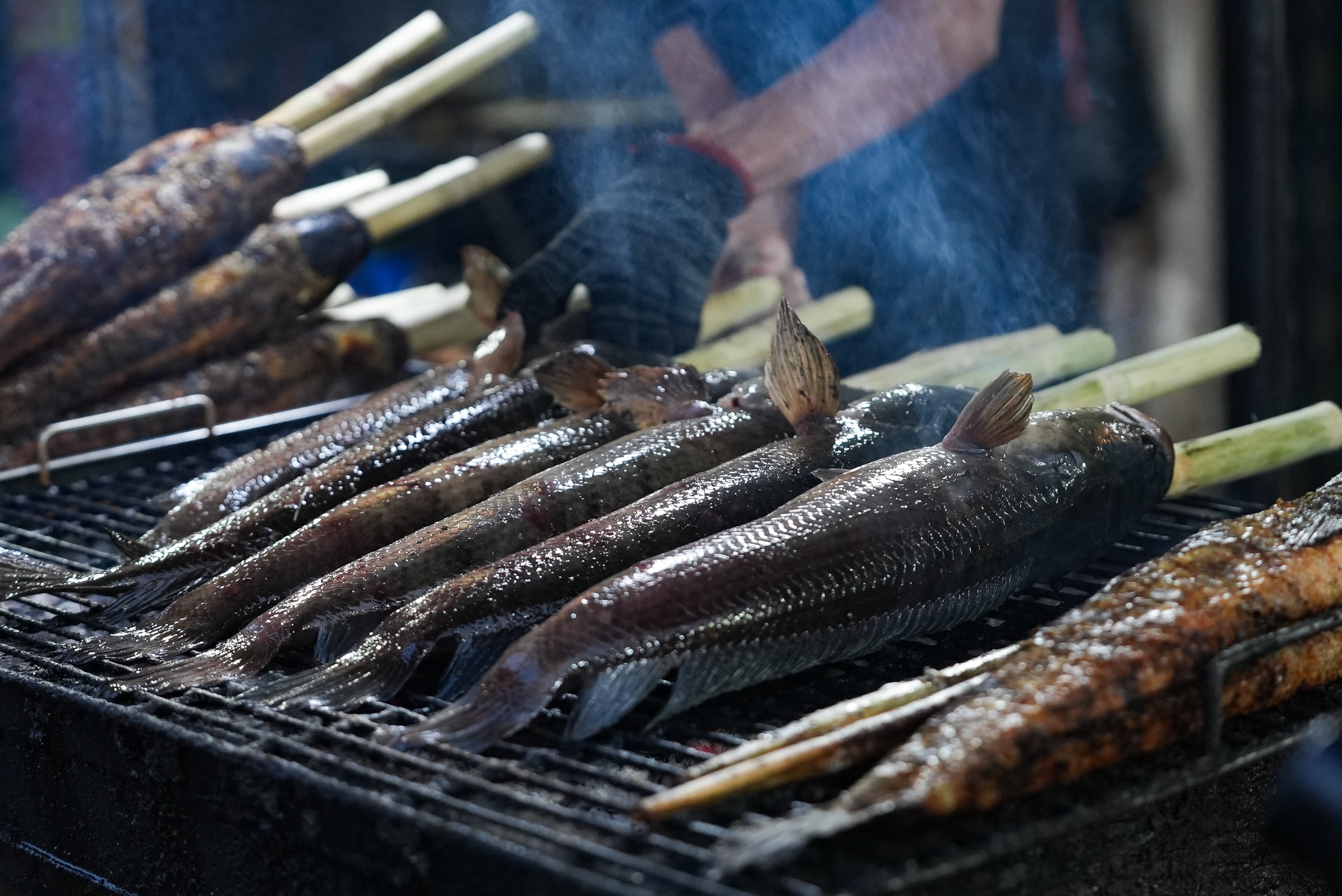 Ca loc via Than Tai anh 7