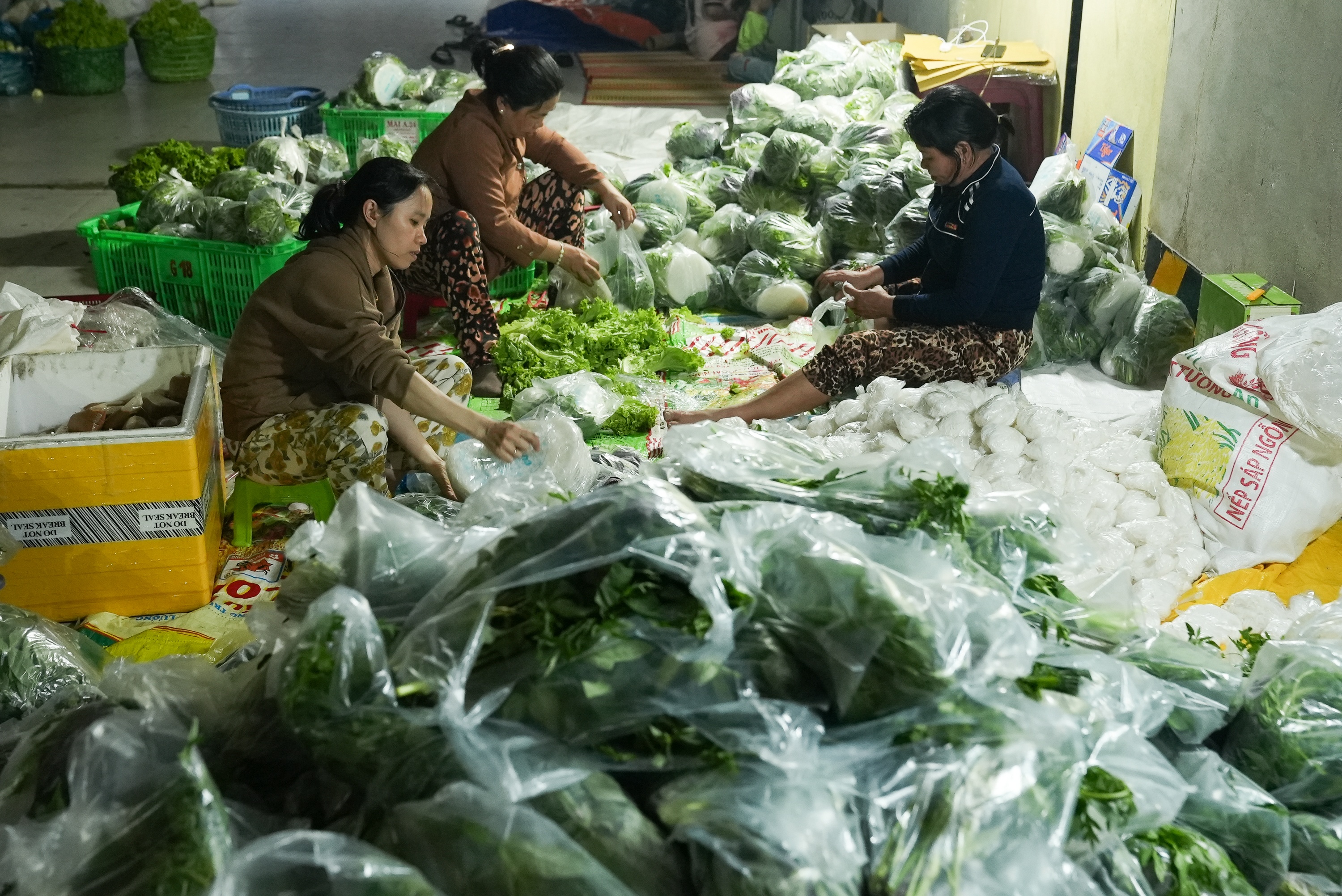 Ca loc via Than Tai anh 8