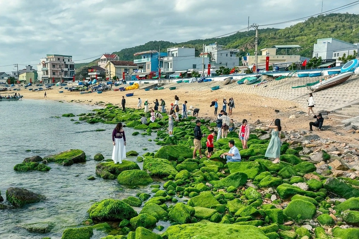 Bai da hinh vong cung o Quy Nhon hoa 'dai lua xanh' hut khach check-in hinh anh