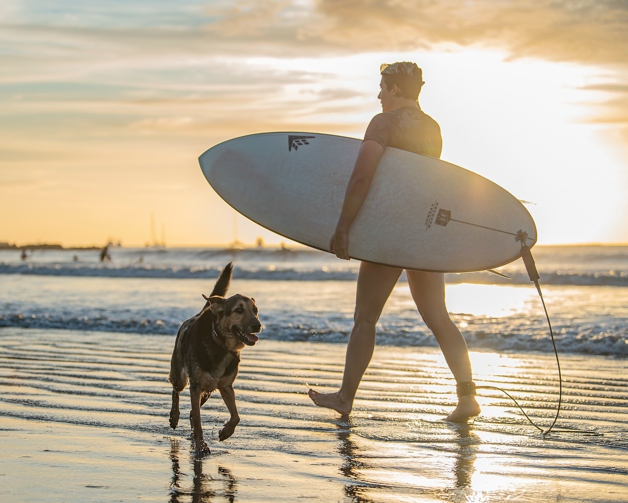 Vong quanh the gioi anh 15