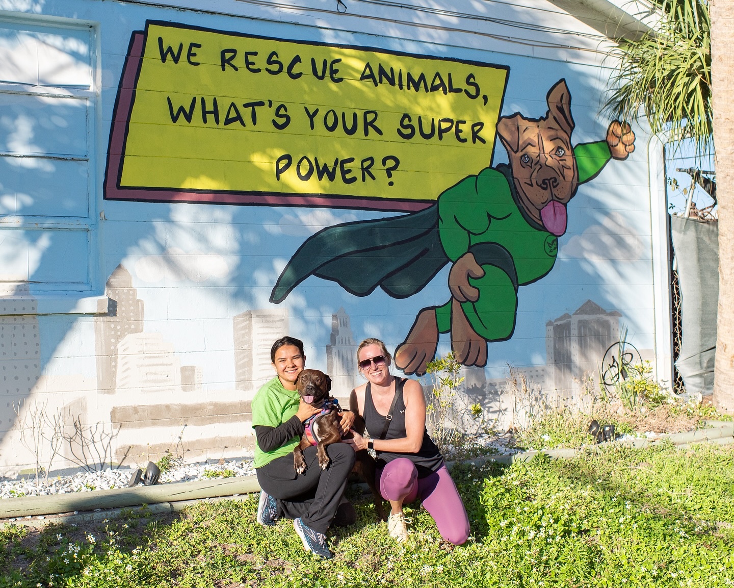 Vong quanh the gioi anh 12