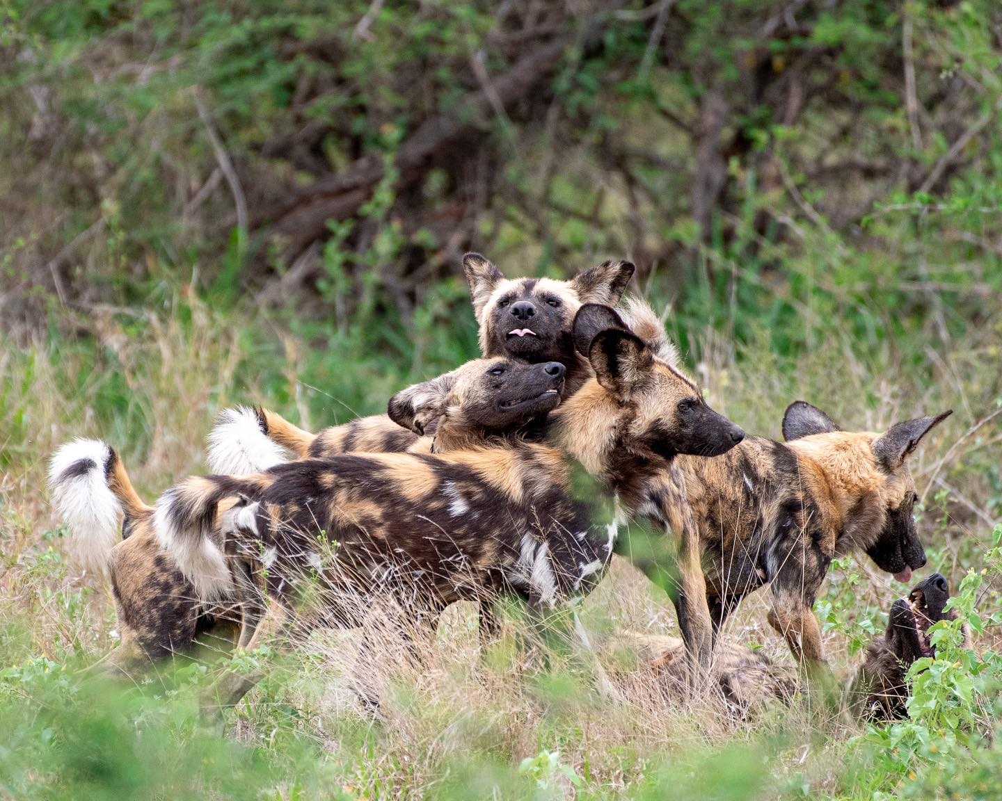 Vong quanh the gioi anh 11