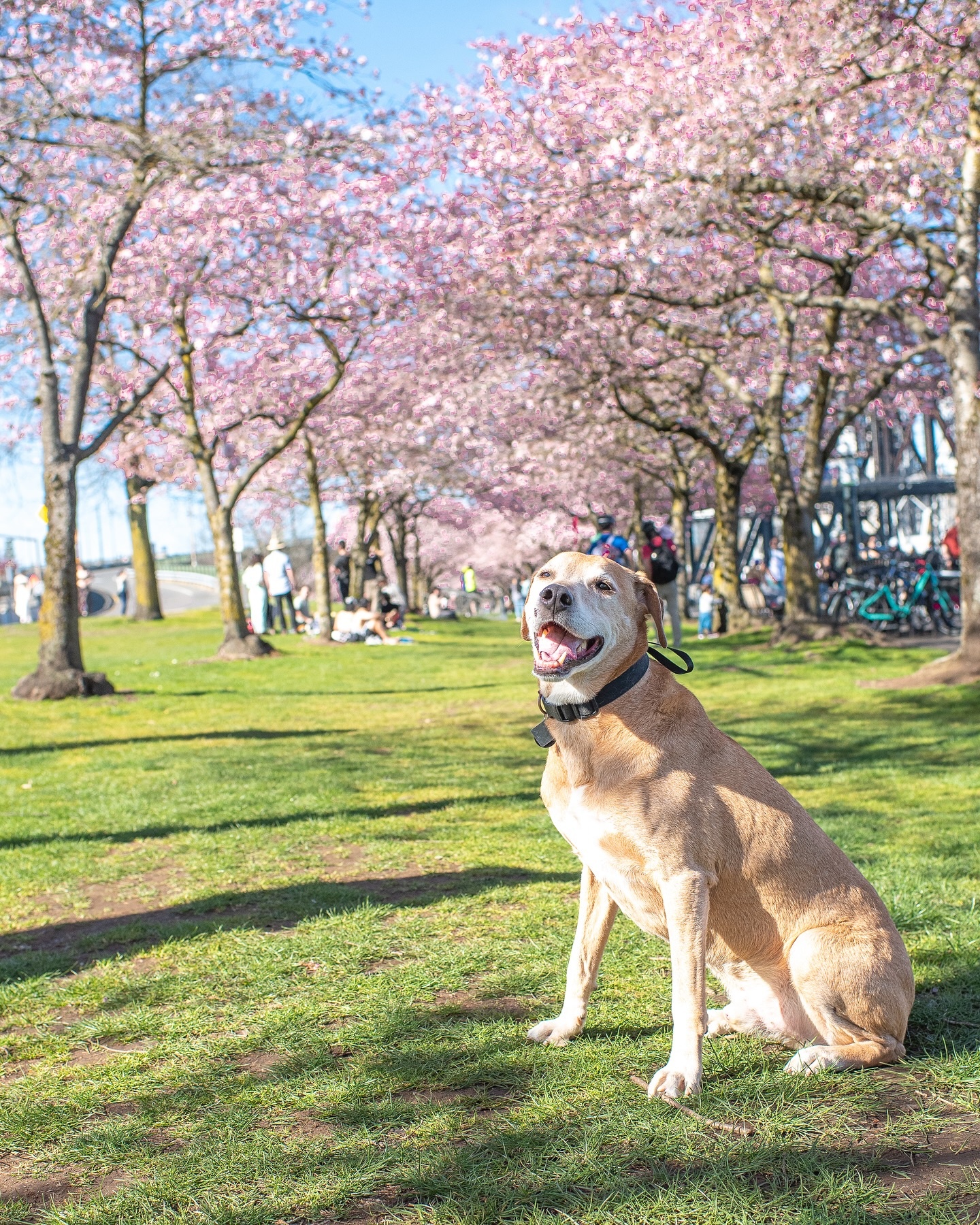 Vong quanh the gioi anh 17