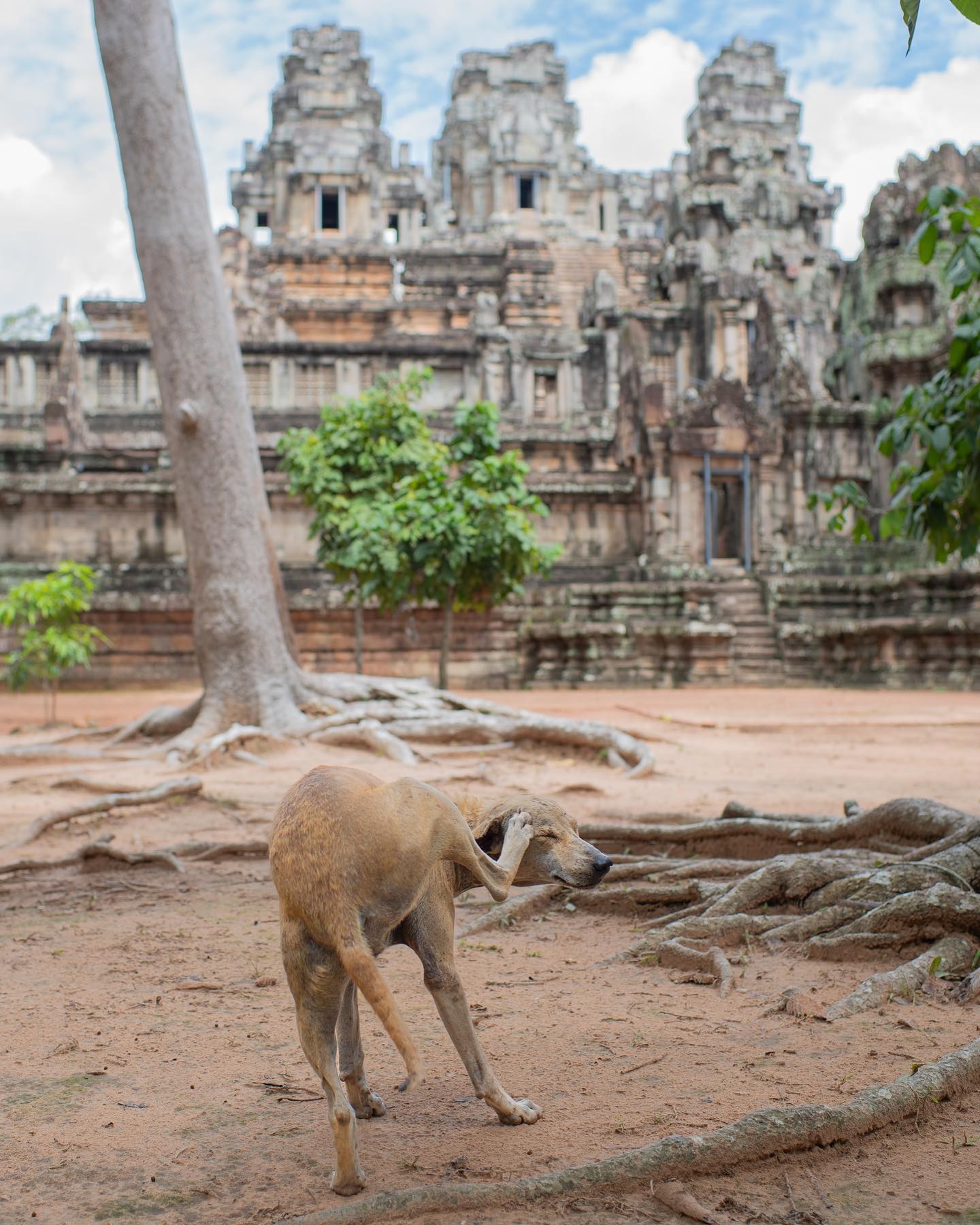 Vong quanh the gioi anh 4