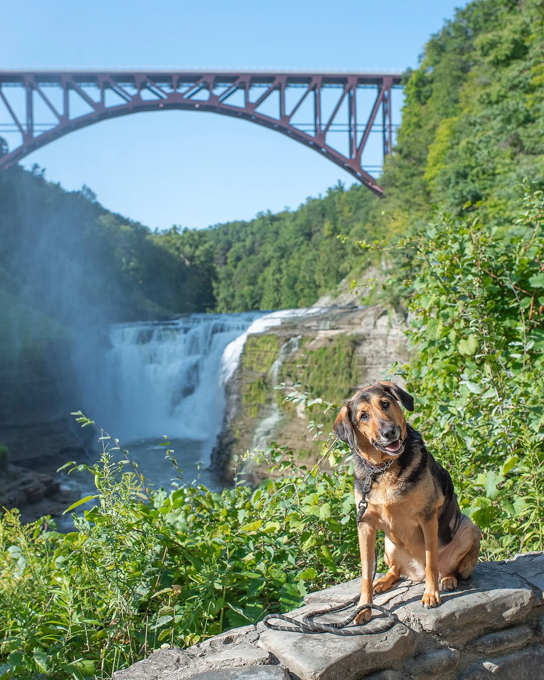 Vong quanh the gioi anh 5