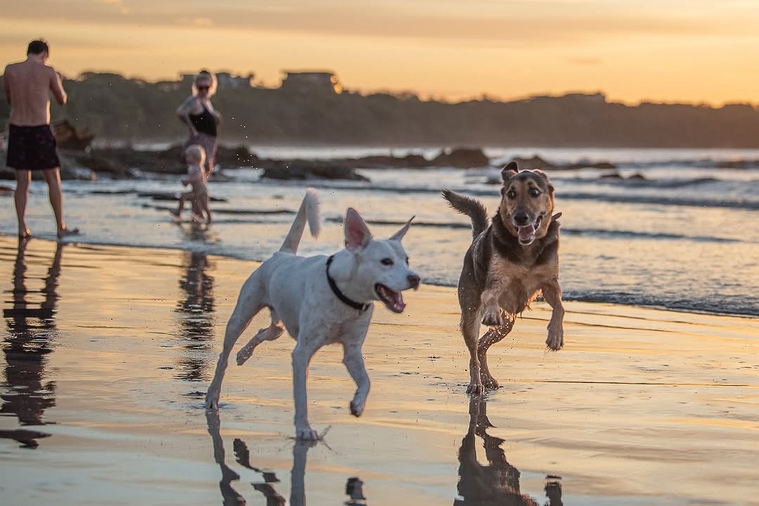 Vong quanh the gioi anh 2