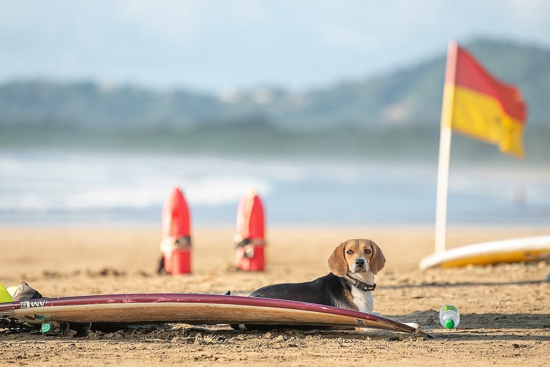 Vong quanh the gioi anh 3