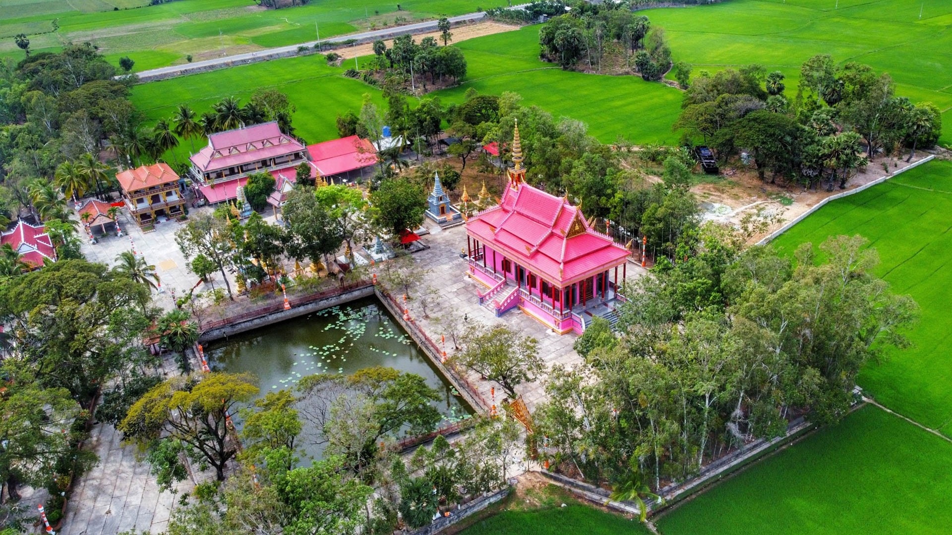 Chua mau hong doc dao o An Giang hinh anh