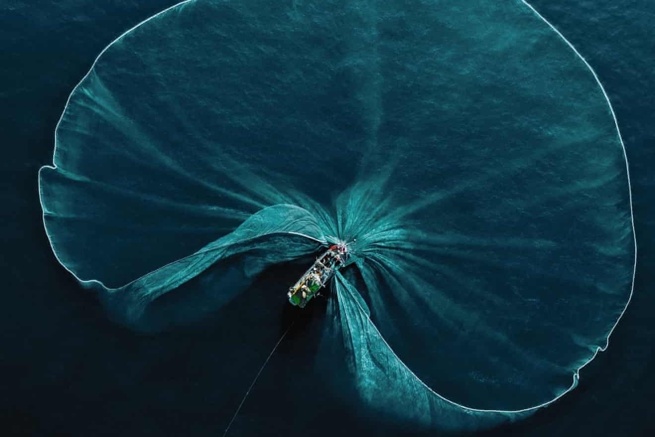 Anh danh ca tai Viet Nam gay sung sot hinh anh