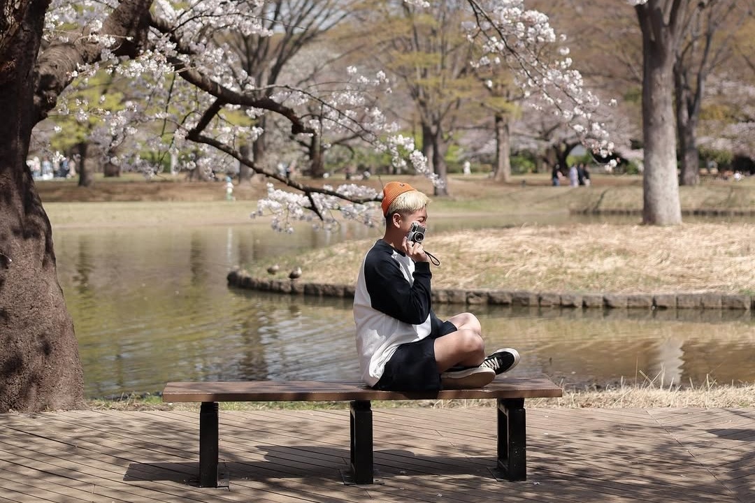 Sot tour di 'Cung duong Vang' Nhat Ban ngam hoa anh dao hinh anh