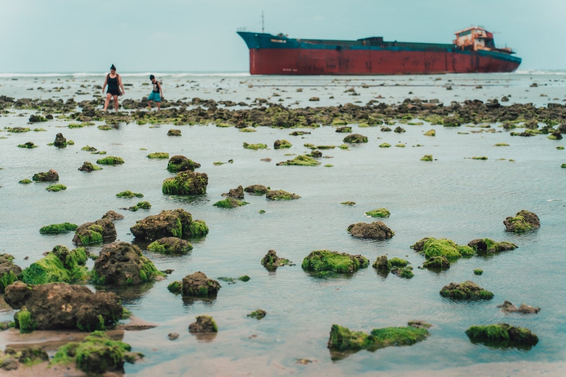 Tau ma Ninh Thuan anh 5