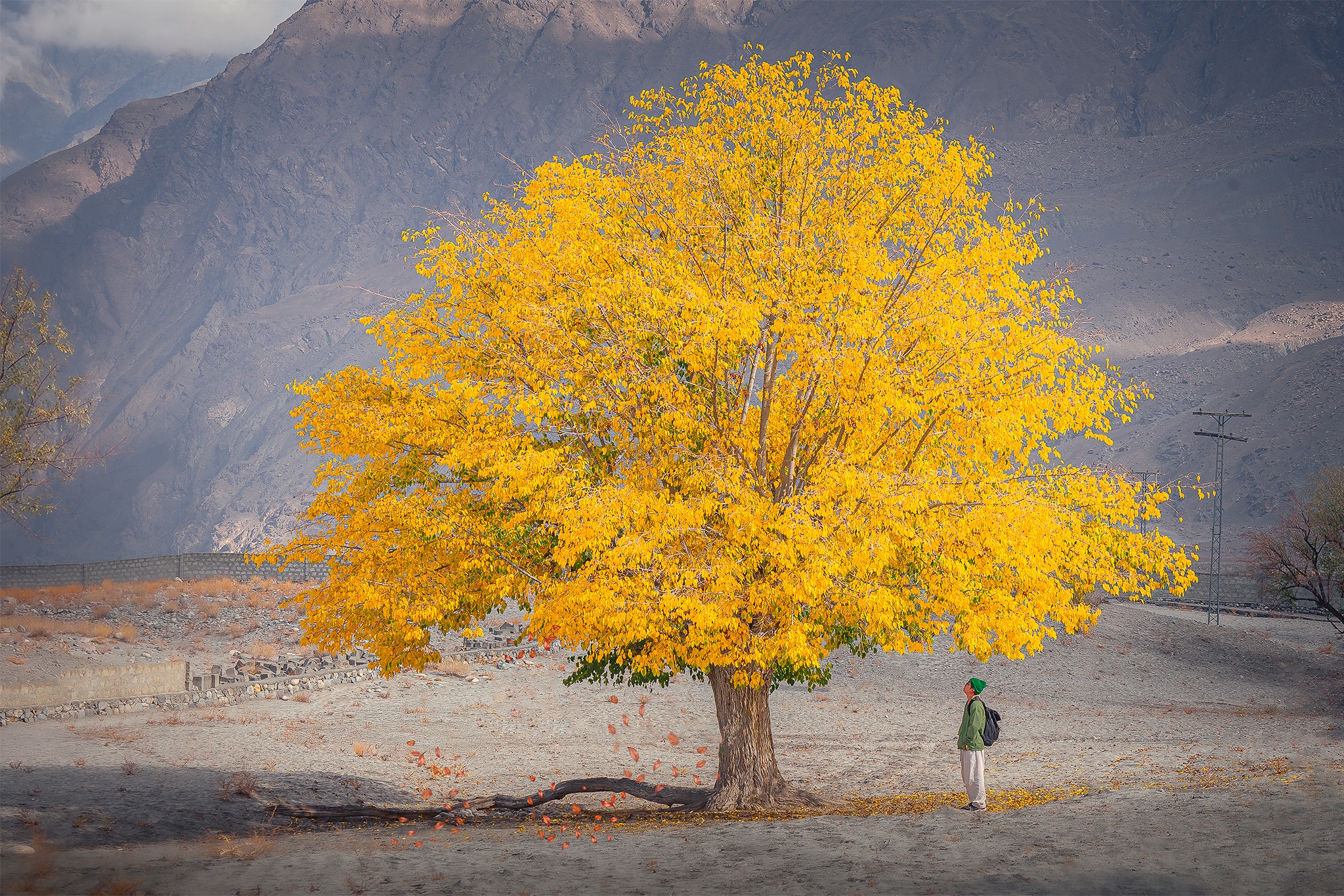 gioi tre du lich anh 6