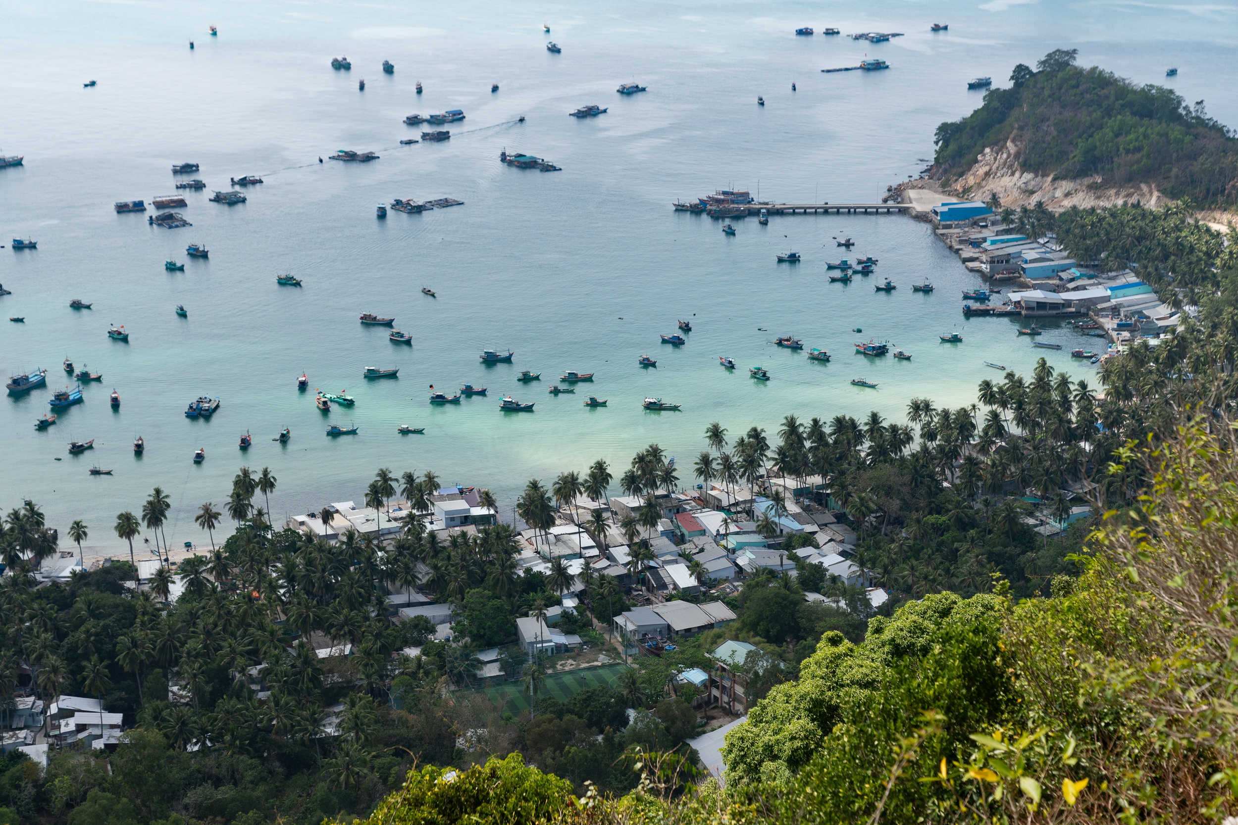 dao Nam Du anh 2