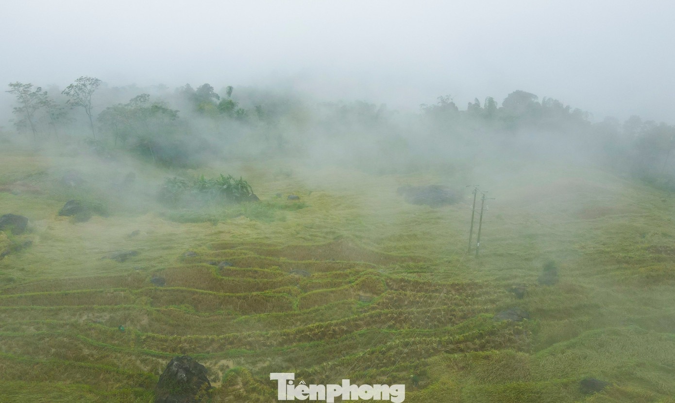 Sa Pa xu Thanh anh 8