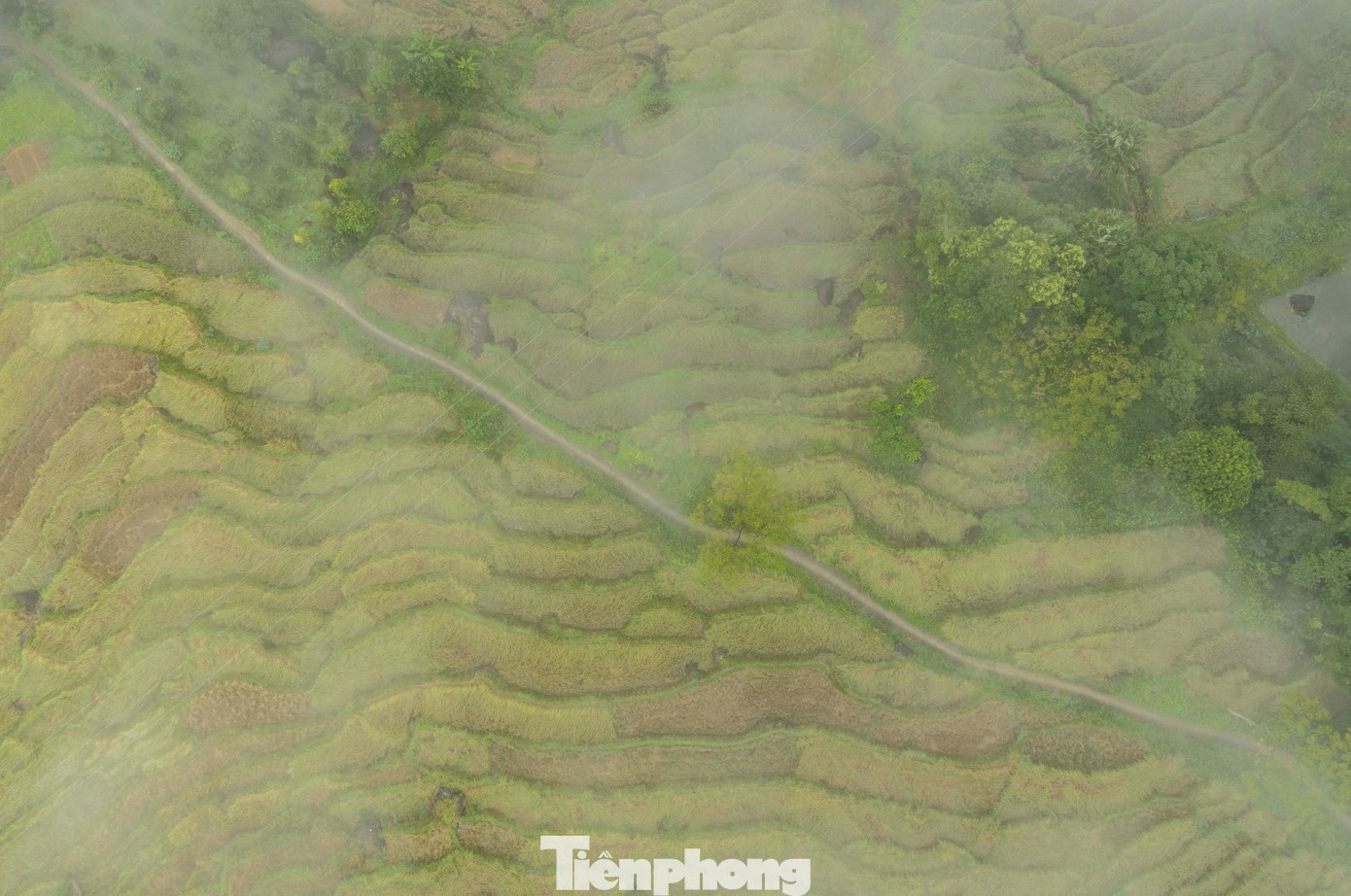 Sa Pa xu Thanh anh 7