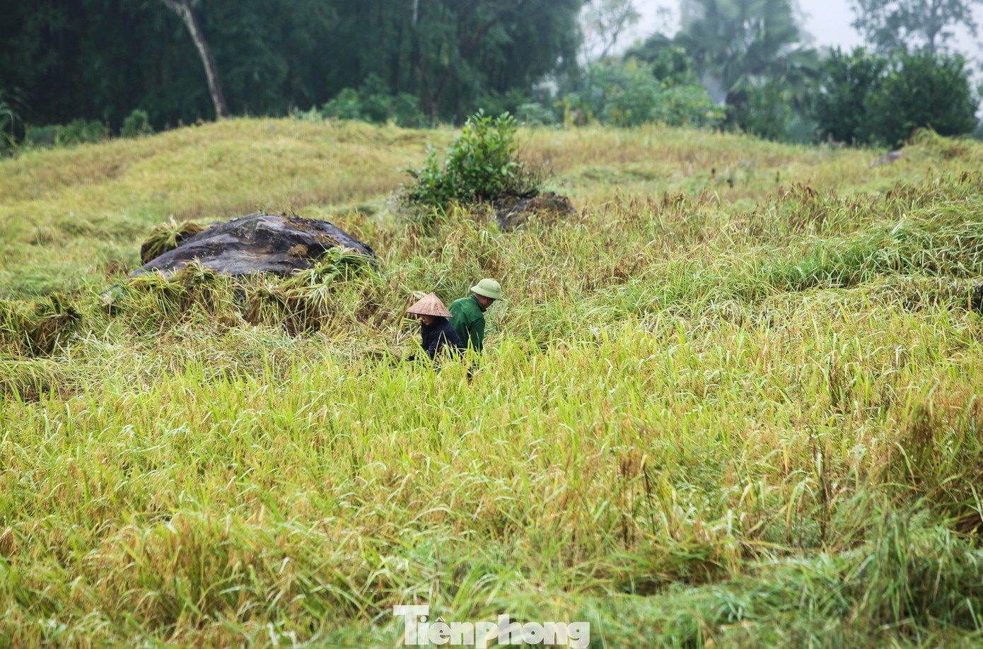 Sa Pa xu Thanh anh 10