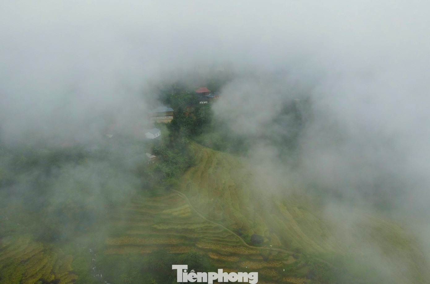 Sa Pa xu Thanh anh 1