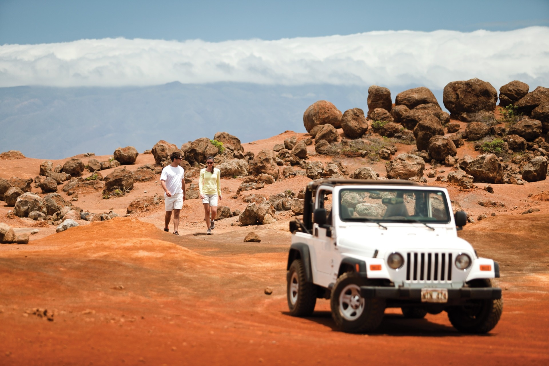 Oc dao nhu sao Hoa noi Tom Cruise, Will Smith 'di tron' hinh anh