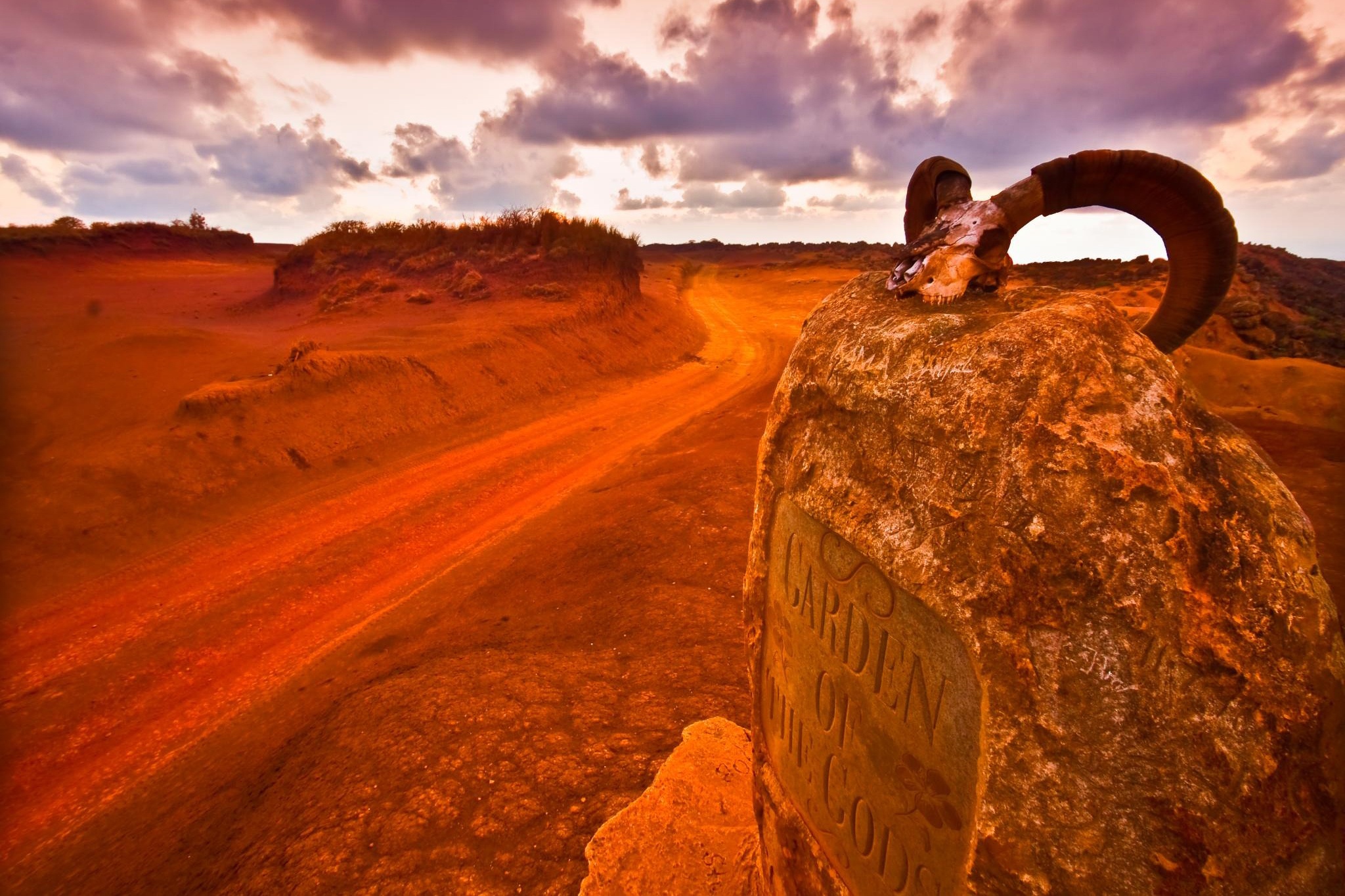 Dao Lanai Hawaii anh 5