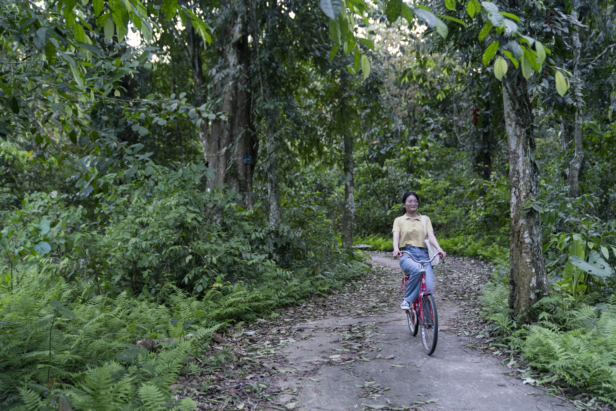 Du lich Phu Tho anh 28