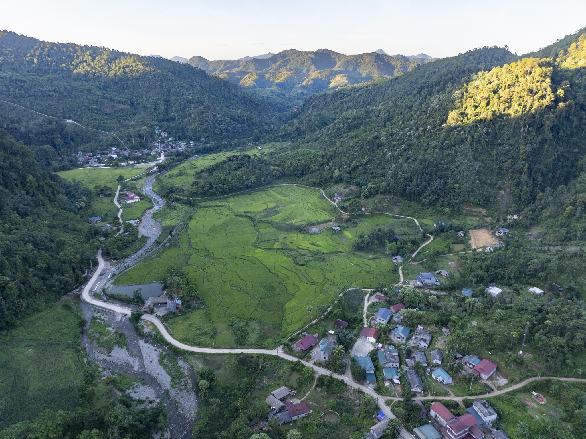 Phương Mỹ Chi ảnh 8