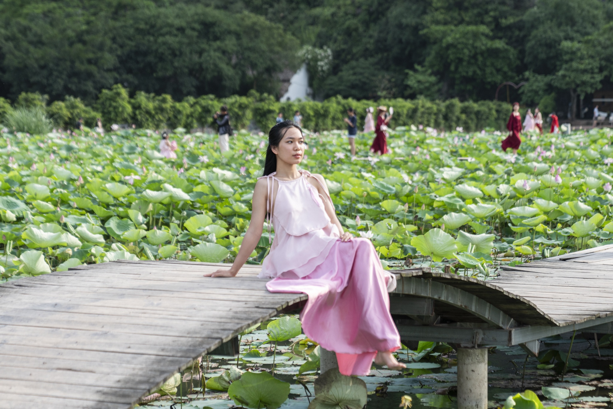 Hang Mua Ninh Binh tang gia ve tu 1/4 hinh anh