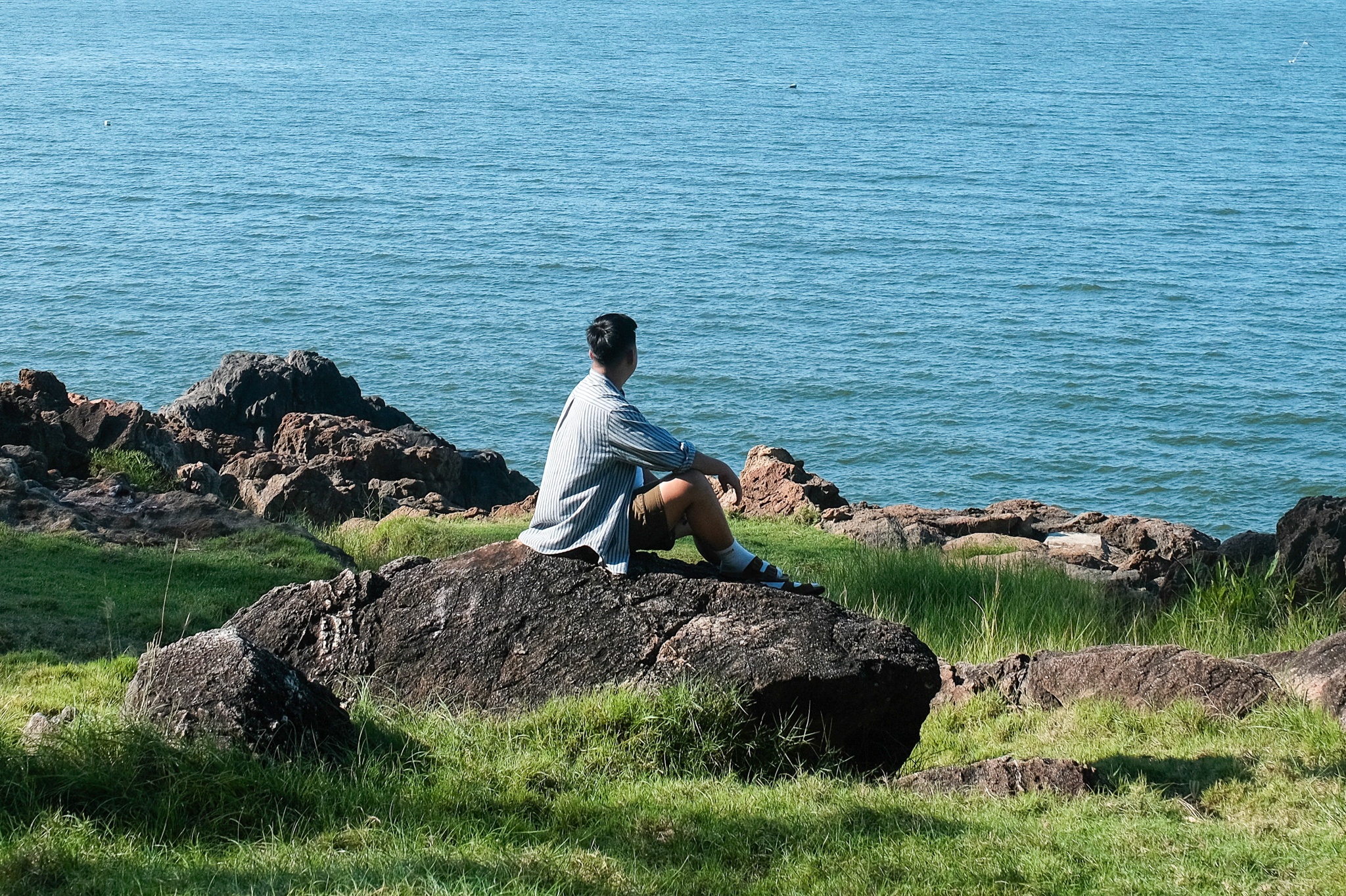 Sat lo, da lan tren ban dao Son Tra sau mua lu hinh anh