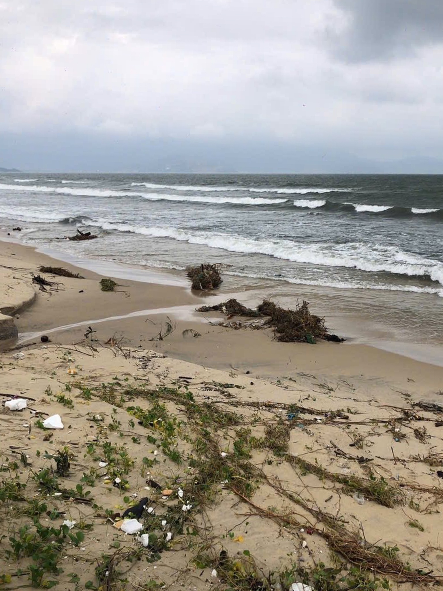 Sạt lở Sơn Trà ảnh 5 Sat lo Son Tra anh 5