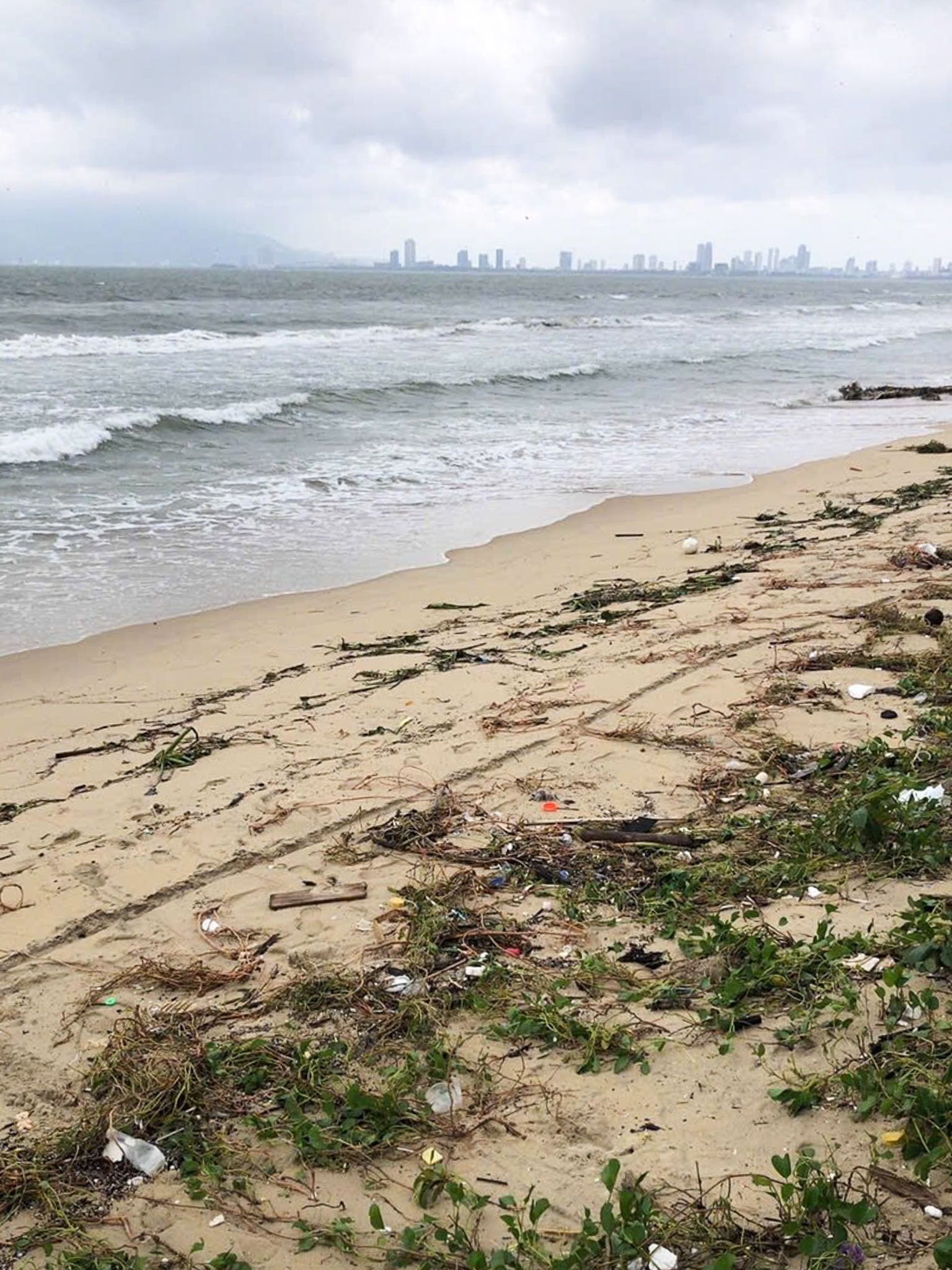 Sạt lở Sơn Trà ảnh 6 Sat lo Son Tra anh 6