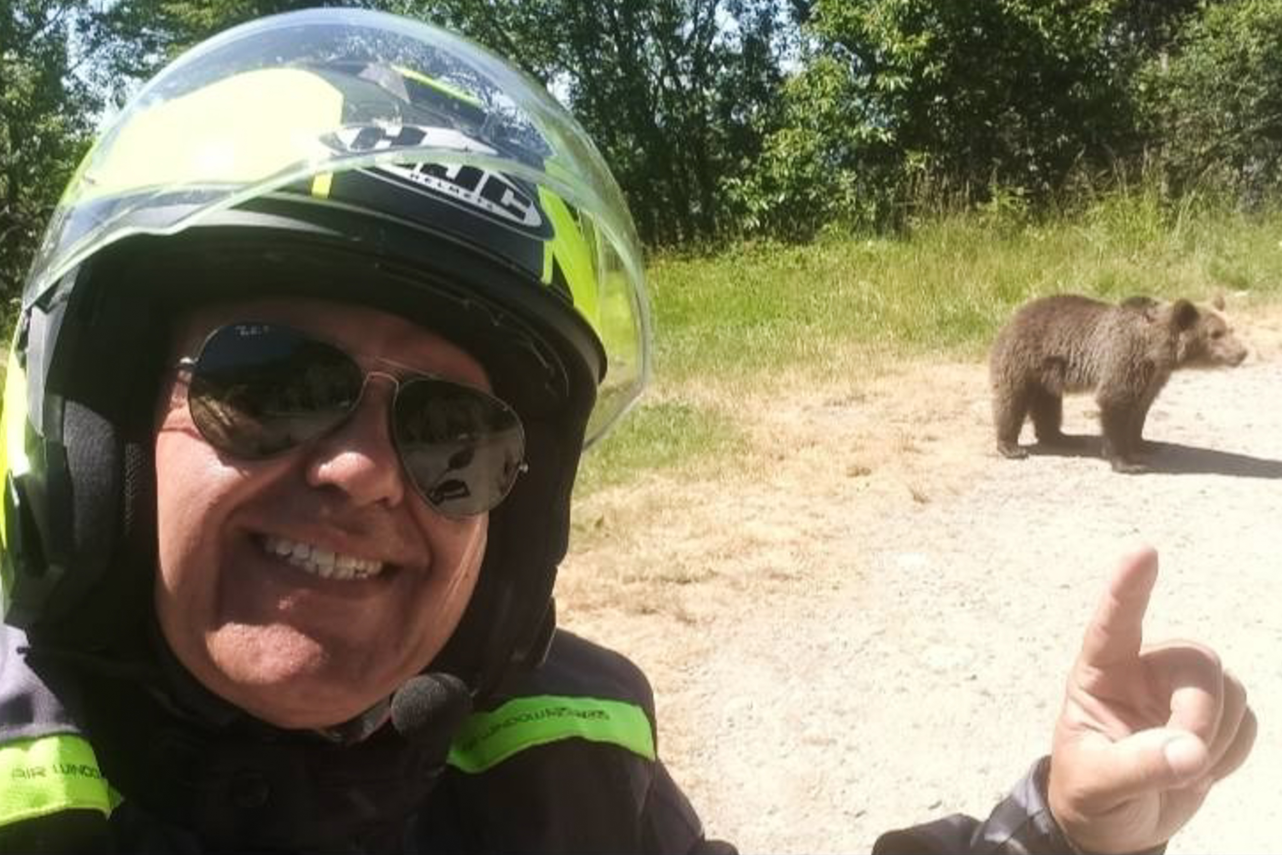 Du khach chup anh voi gau con o Romania, bi gau me tan cong den chet hinh anh