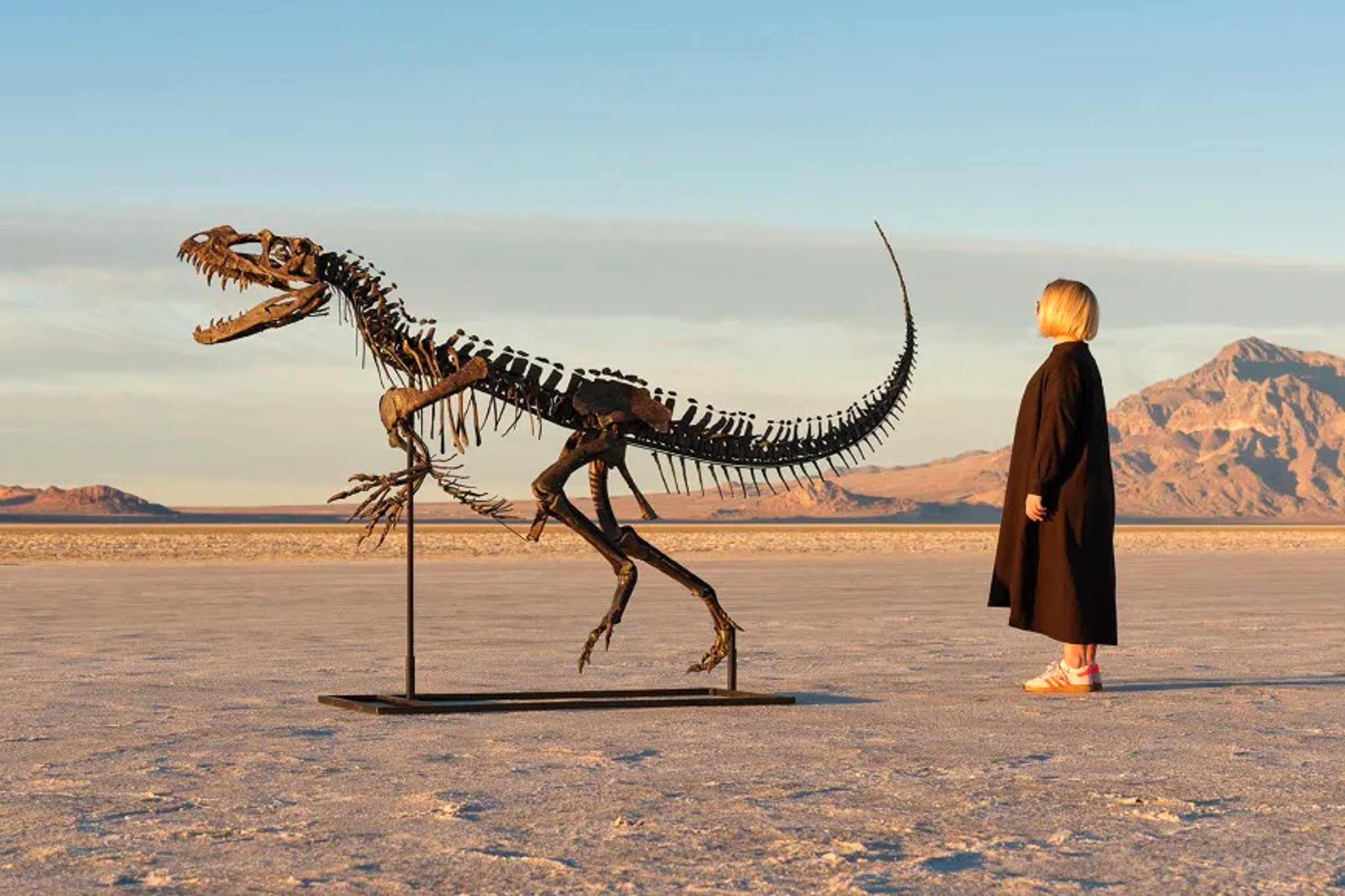 Ban hoa thach khung long gia 30,5 trieu USD hinh anh