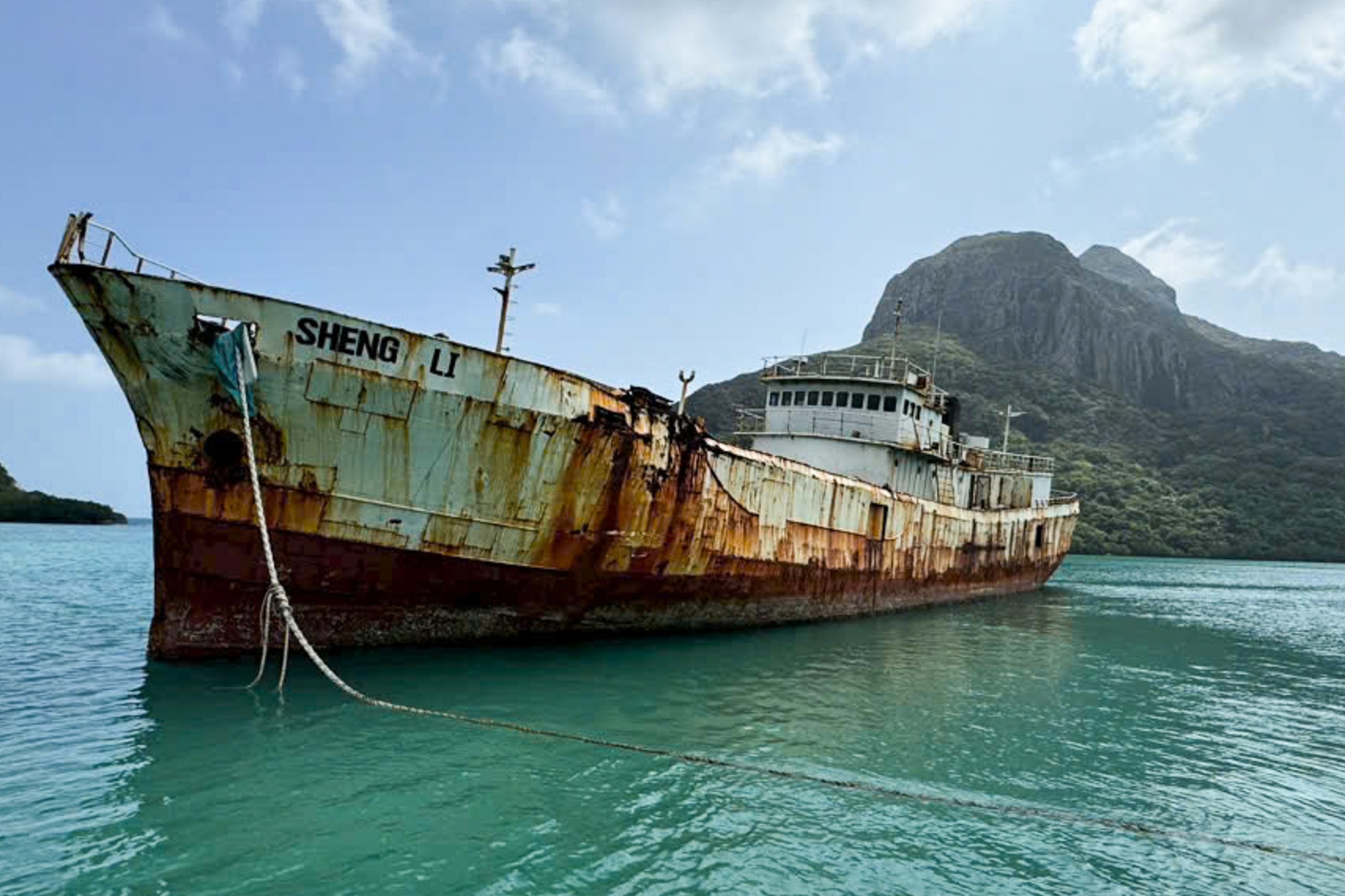 Bac de xuat danh chim tau hoang thanh diem lan o Con Dao hinh anh