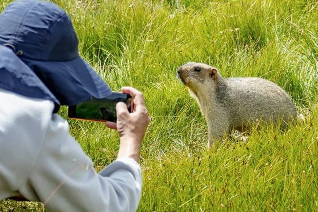 Ca lang o Tu Xuyen dao boi dat tim chia khoa oto bi chuot chui lay cap hinh anh