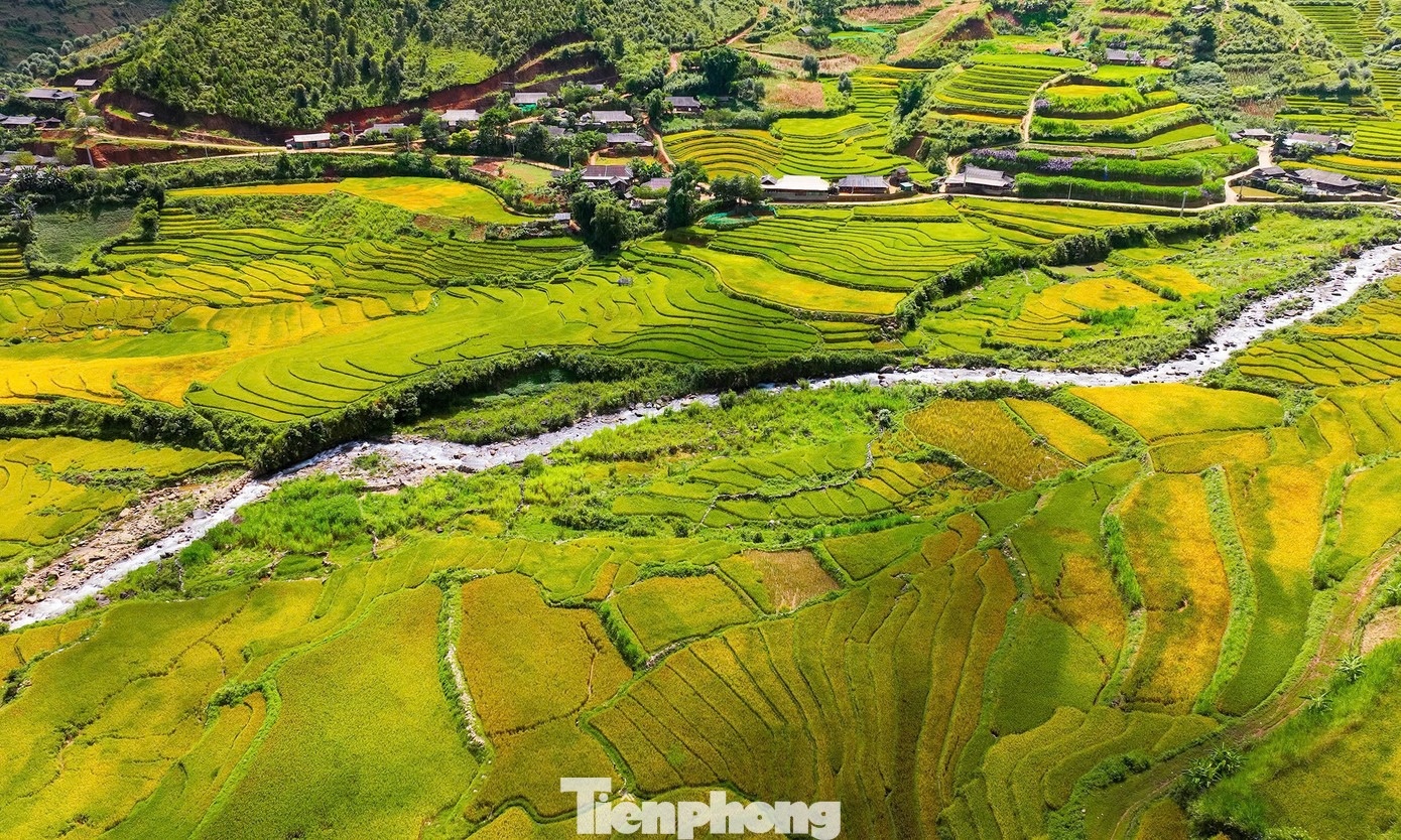 Ruong bac thang mua vang anh 6