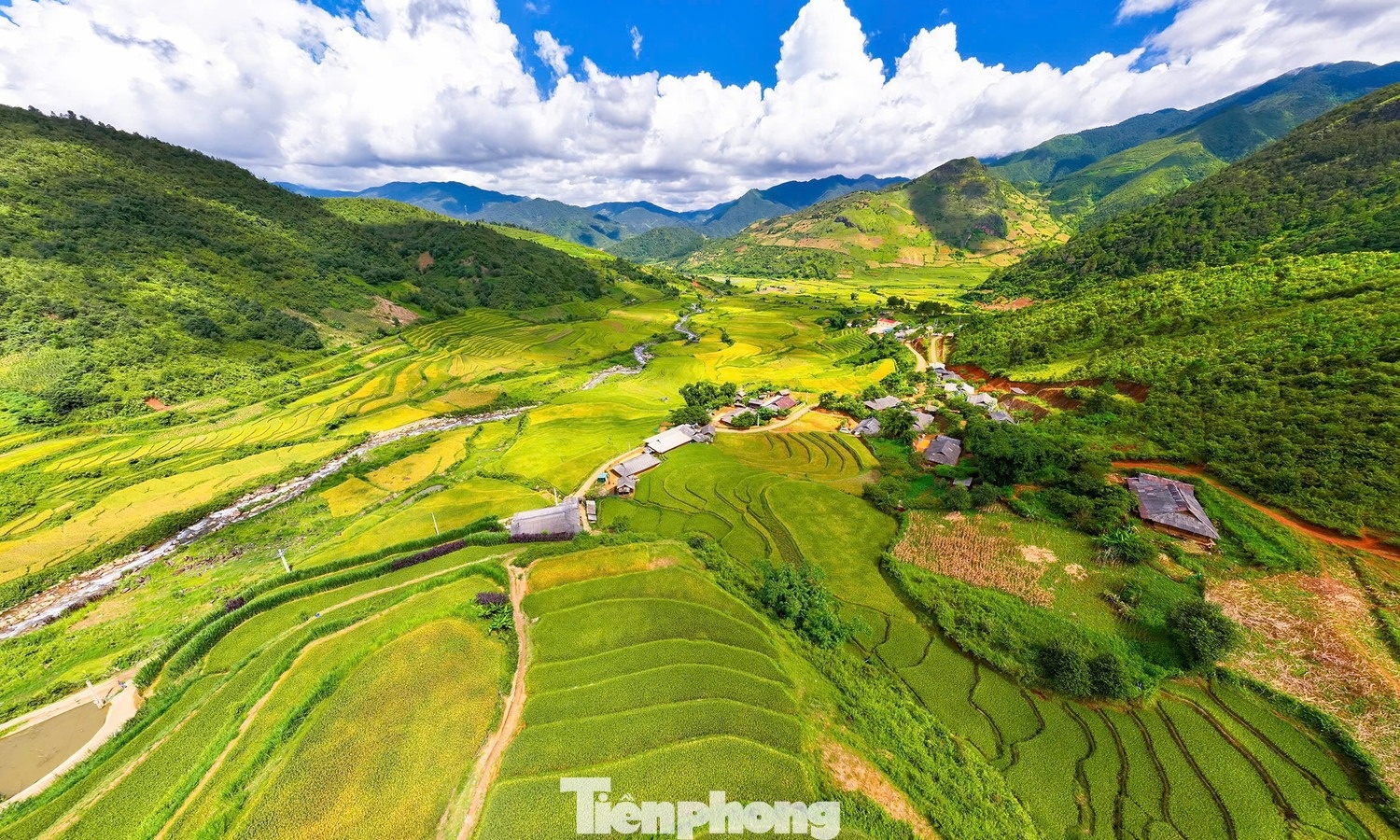 Ruong bac thang mua vang anh 1