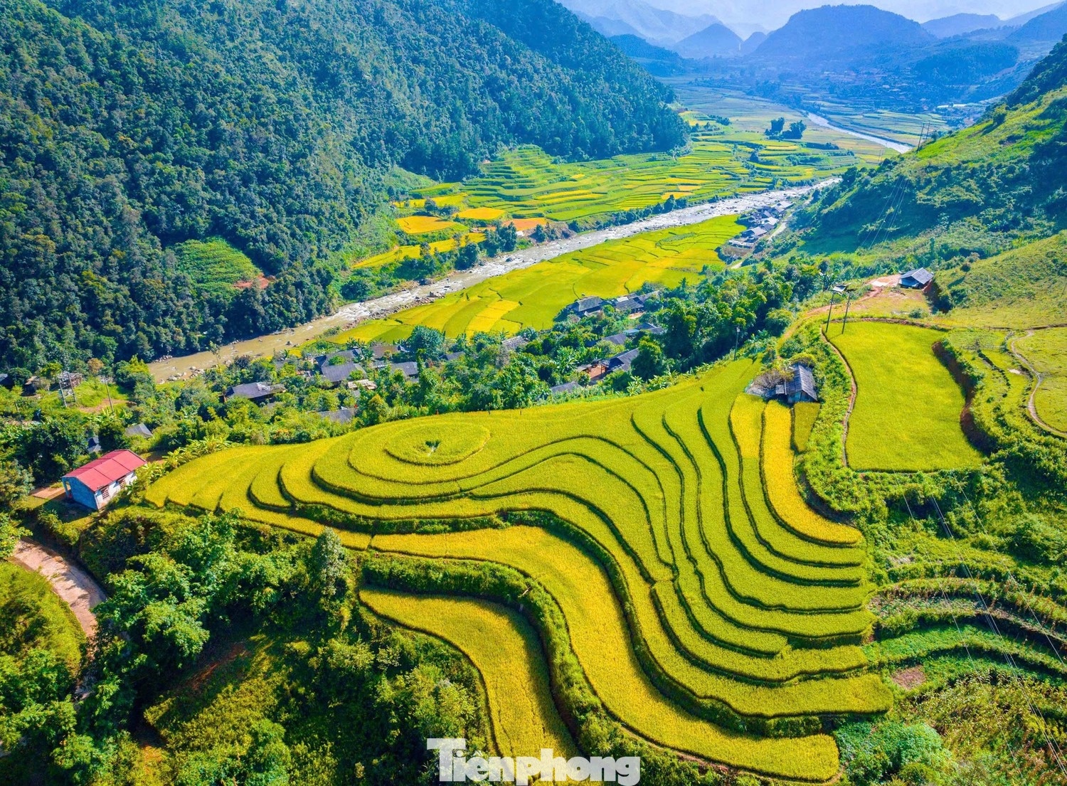 Ruong bac thang mua vang anh 2