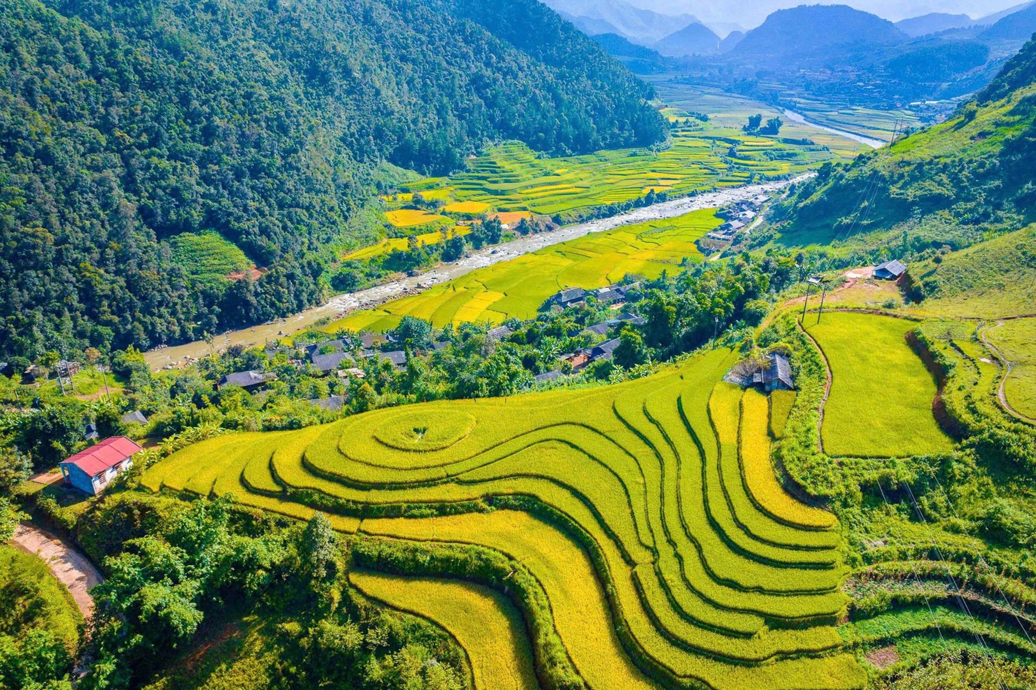 Mua vang 'khong the roi mat' o Son La hinh anh