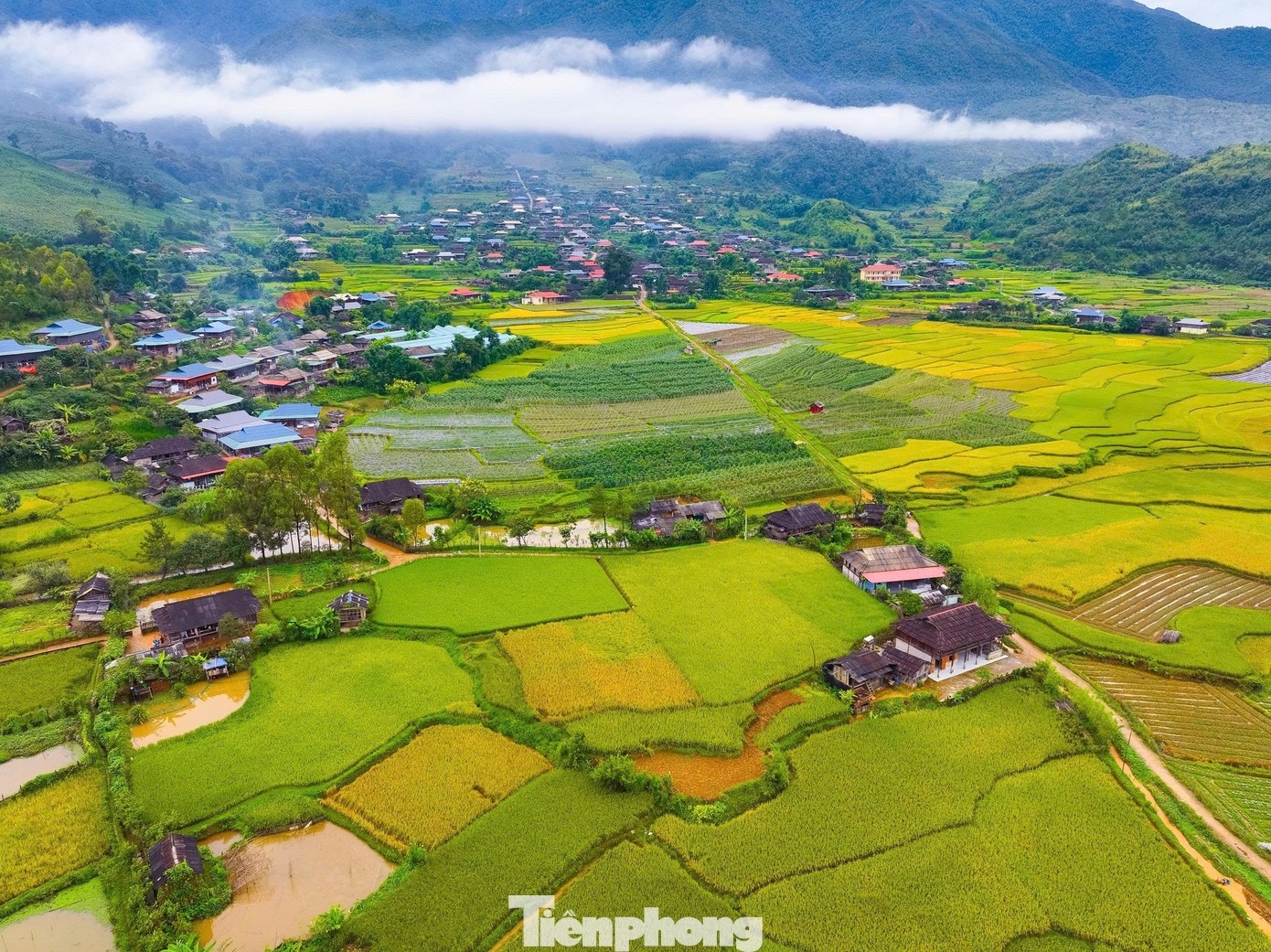 Ruong bac thang mua vang anh 4