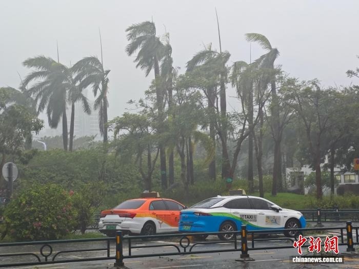 Dao Hai Nam bao Kajiki anh 12