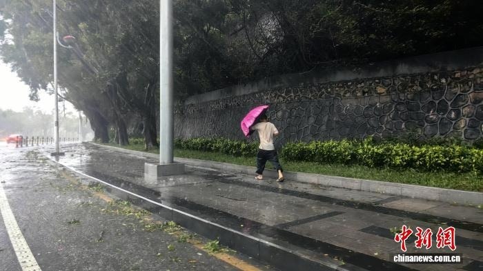 Dao Hai Nam bao Kajiki anh 11